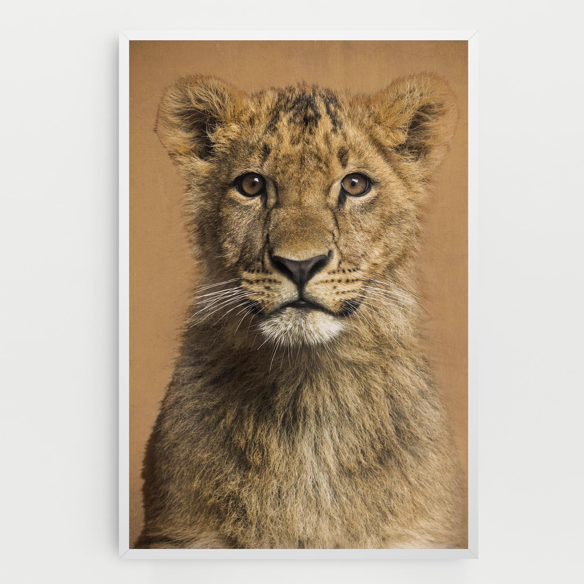 Leinwandbild Baby Lion mockup 0