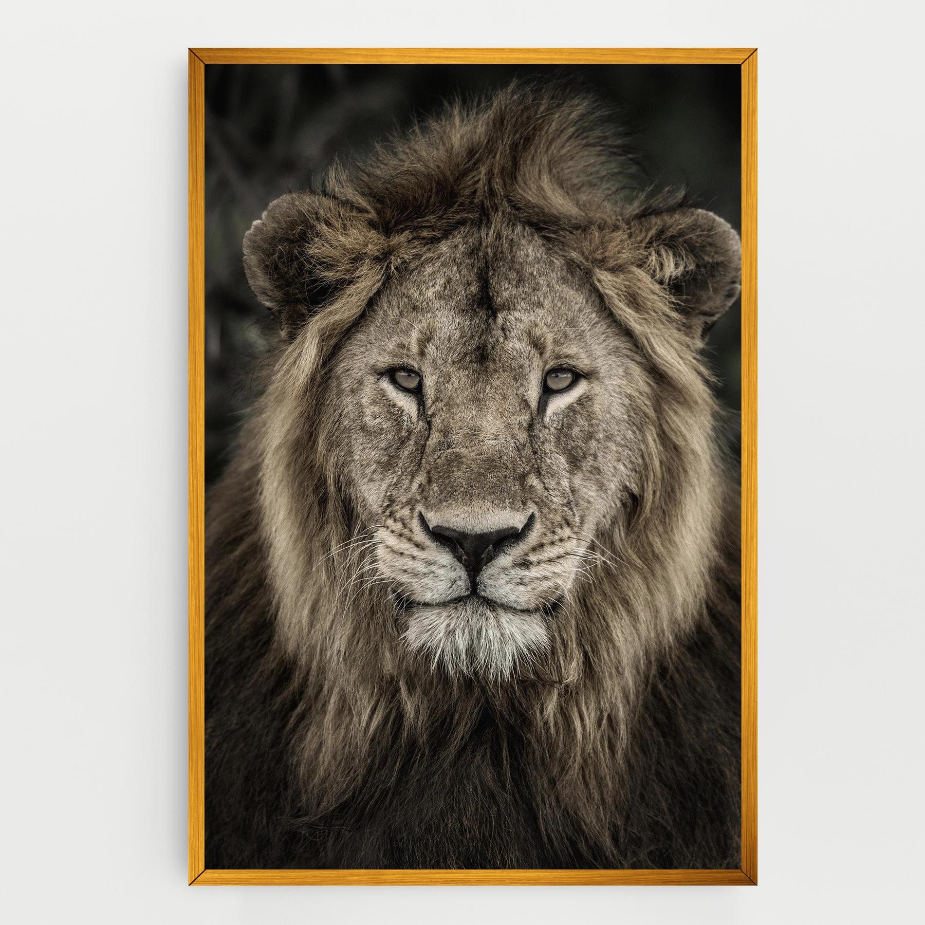 Lion Close Up mockup 0