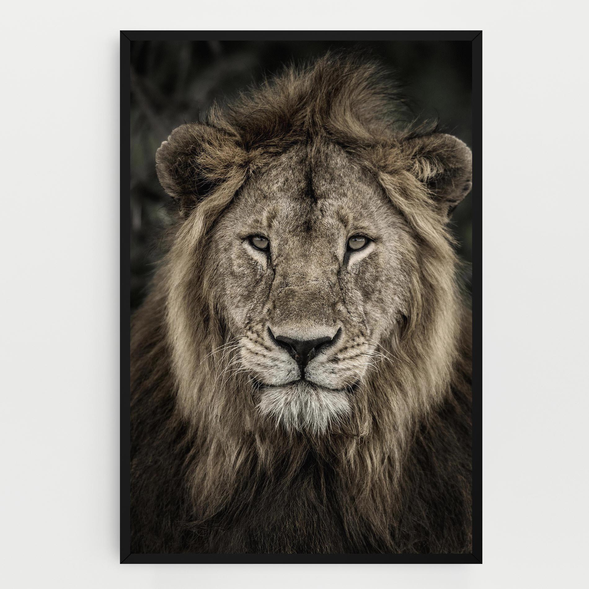 Leinwandbild Lion Close Up mockup 0
