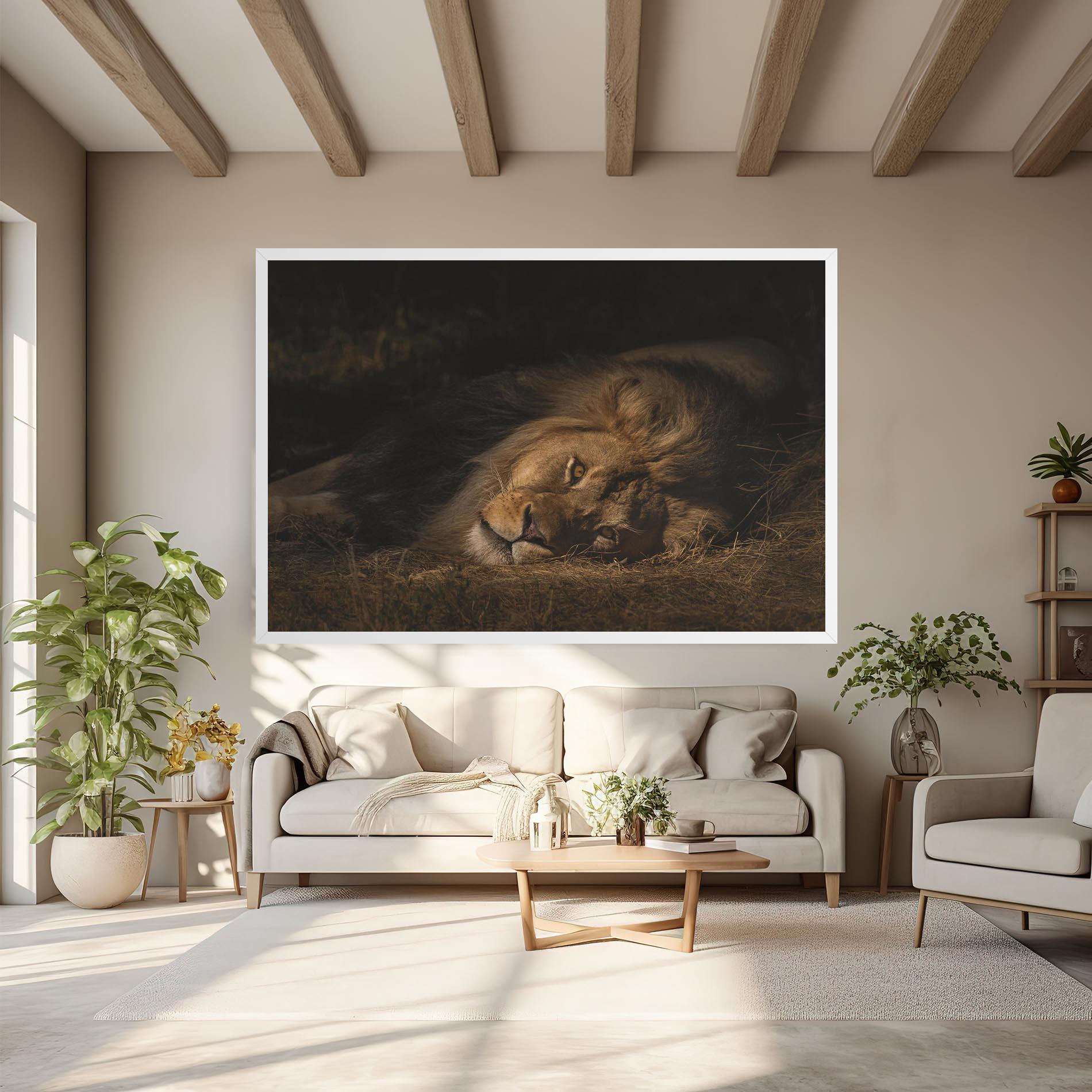 Leinwandbild Lion Laying Down mockup 6