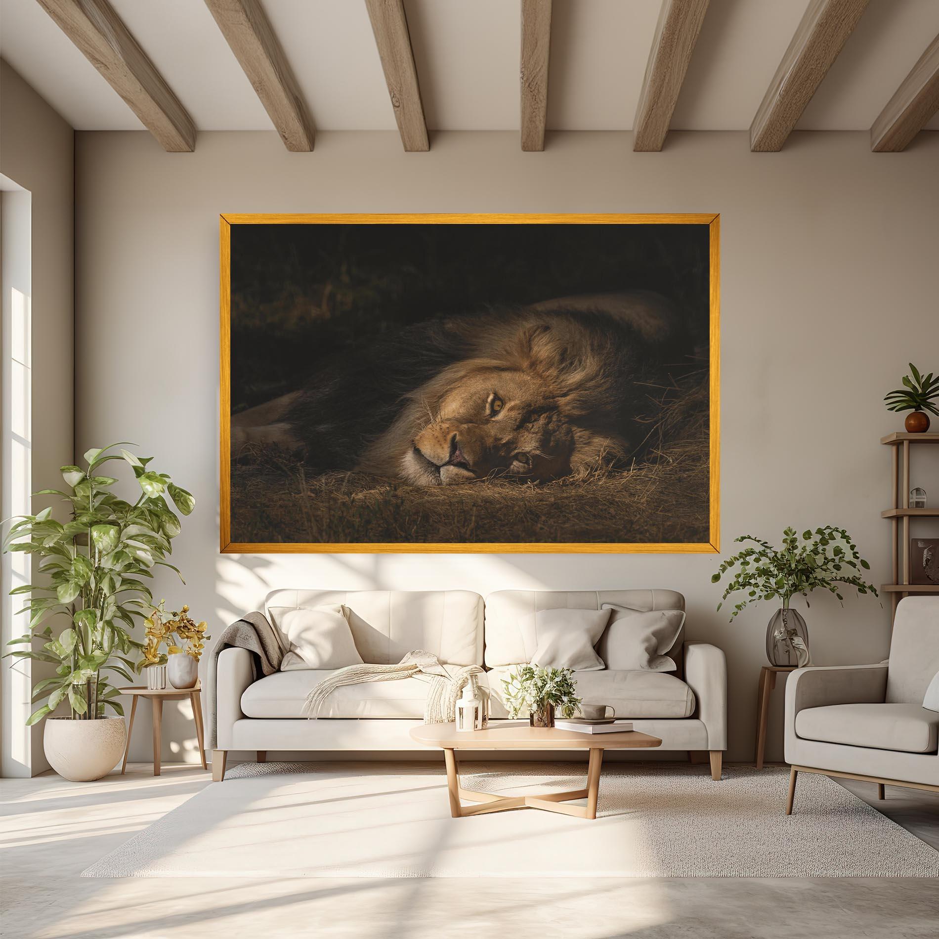 Leinwandbild Lion Laying Down mockup 6