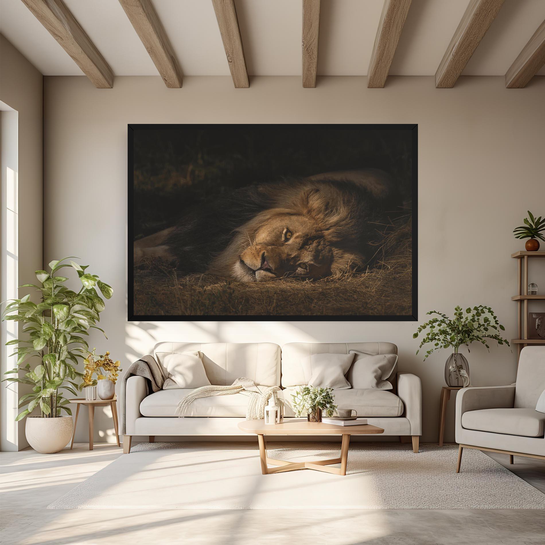 Leinwandbild Lion Laying Down mockup 6