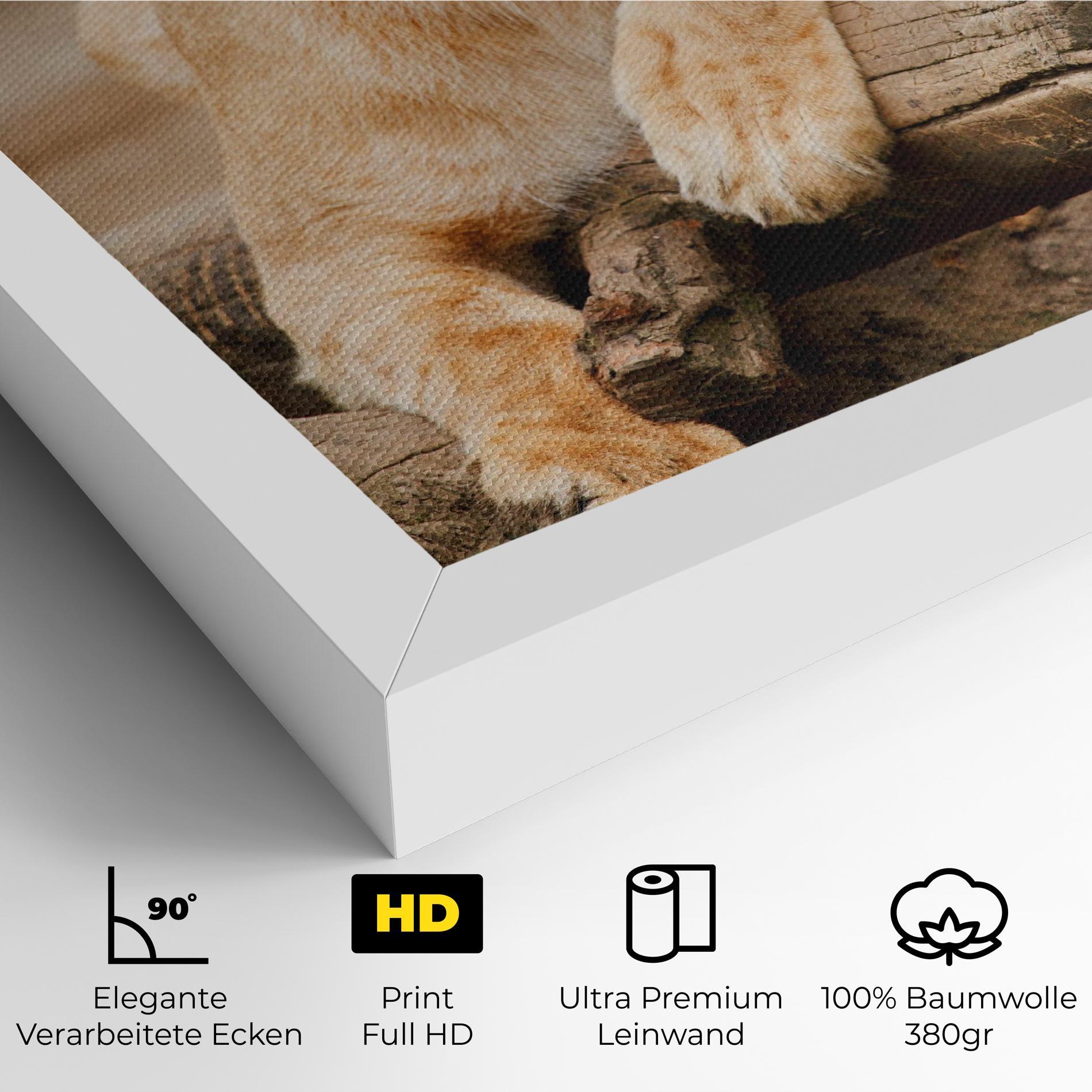 Leinwandbild Female Lion Sitting mockup 4