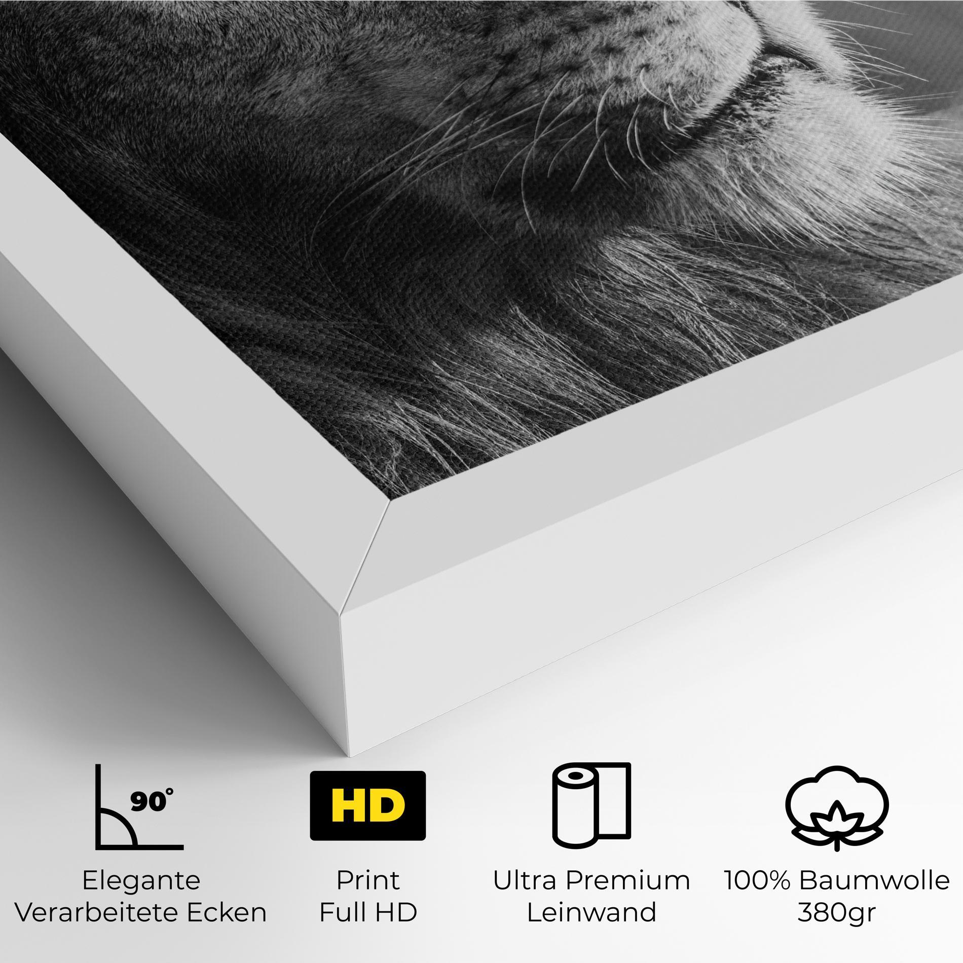 Leinwandbild Grey Lion Head mockup 4
