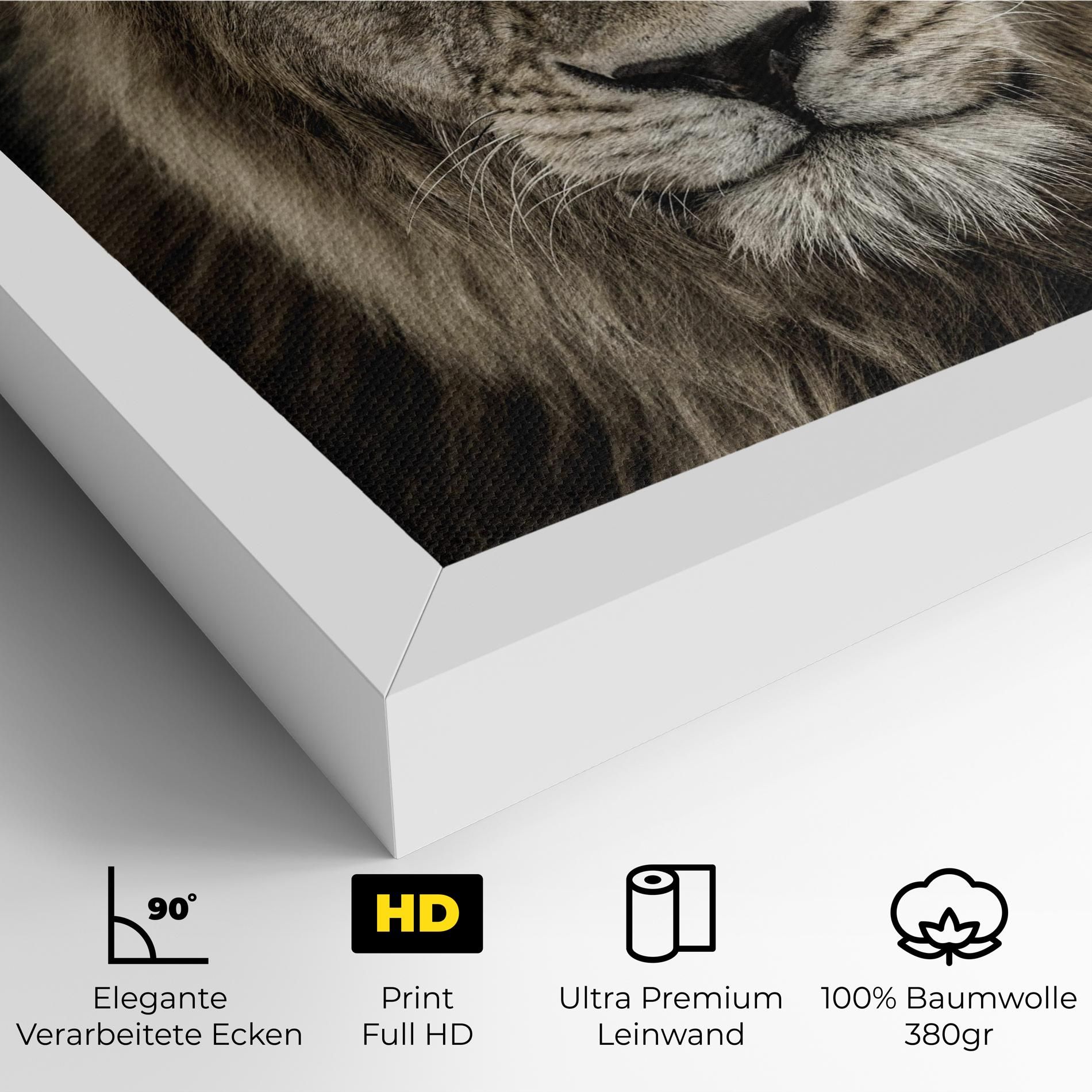 Lion Close Up mockup 4