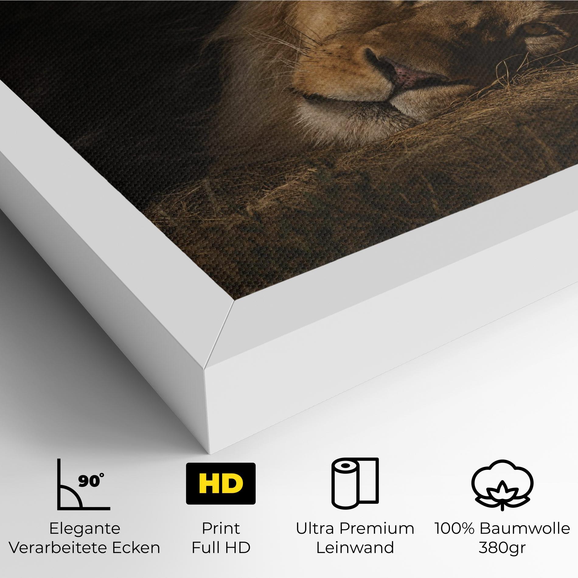 Leinwandbild Lion Laying Down mockup 4
