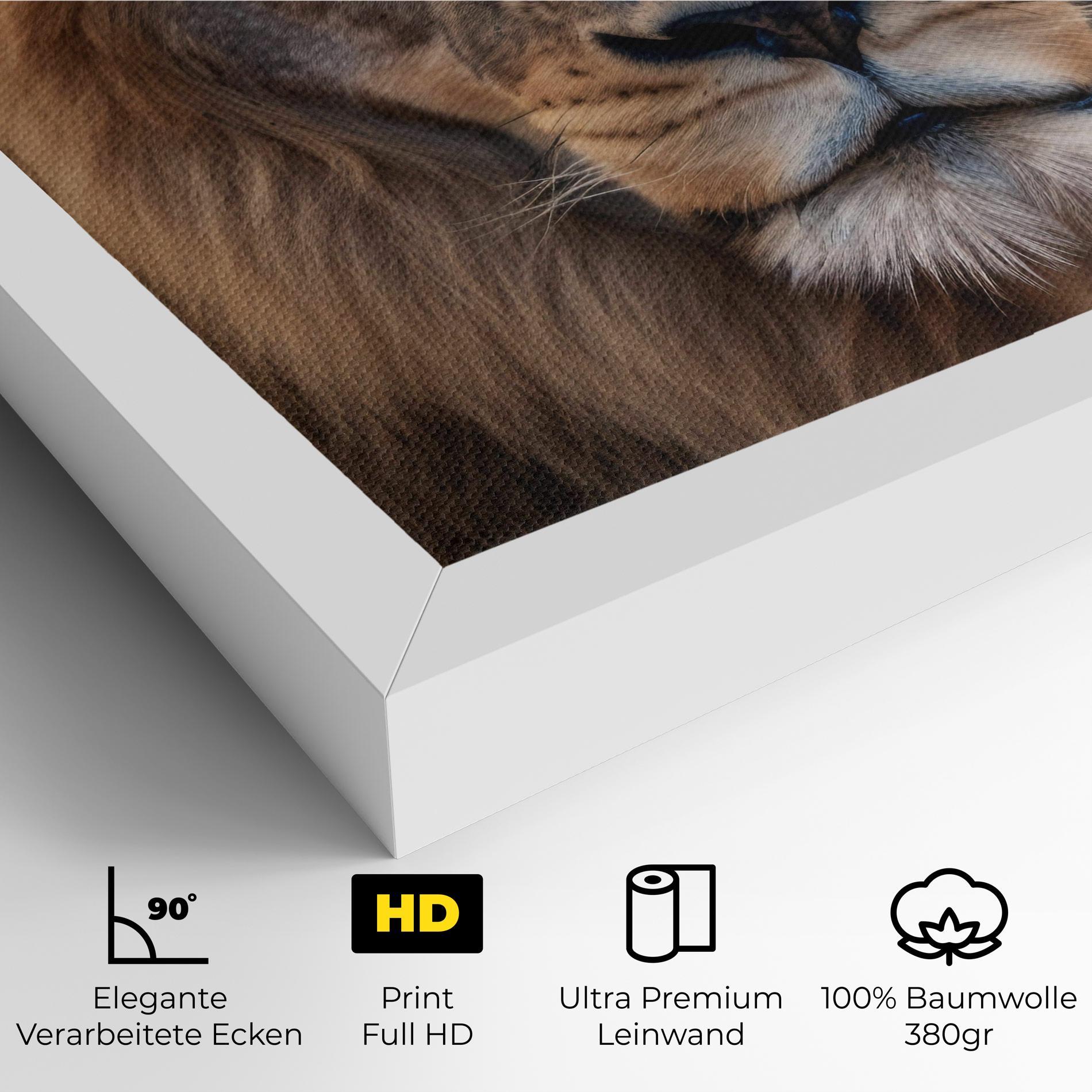 Leinwandbild Wild Lion View mockup 4