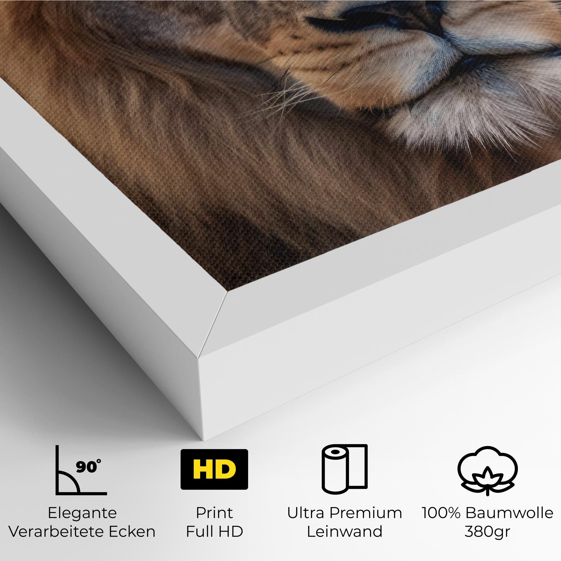Wild Lion View mockup 4
