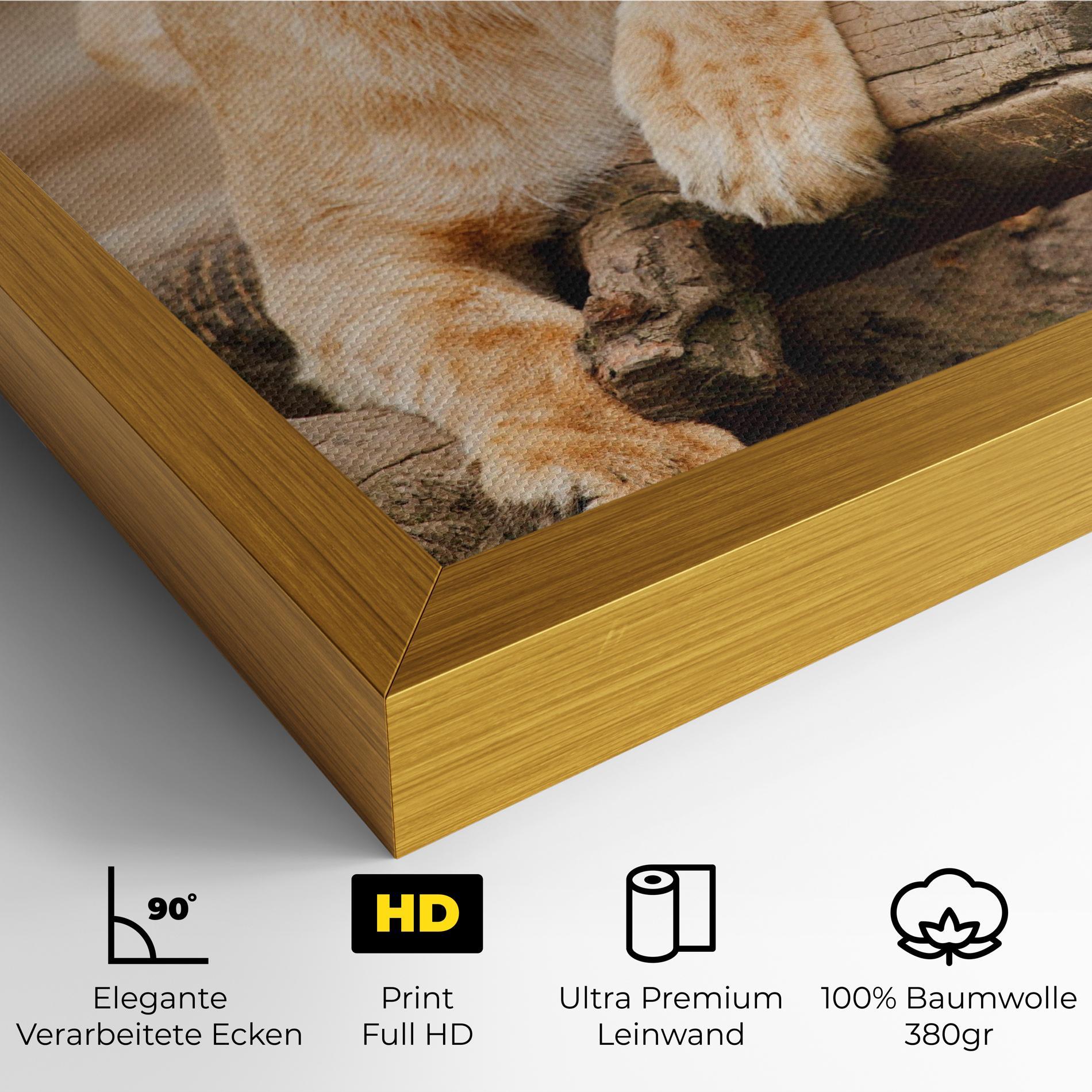 Leinwandbild Female Lion Sitting mockup 4