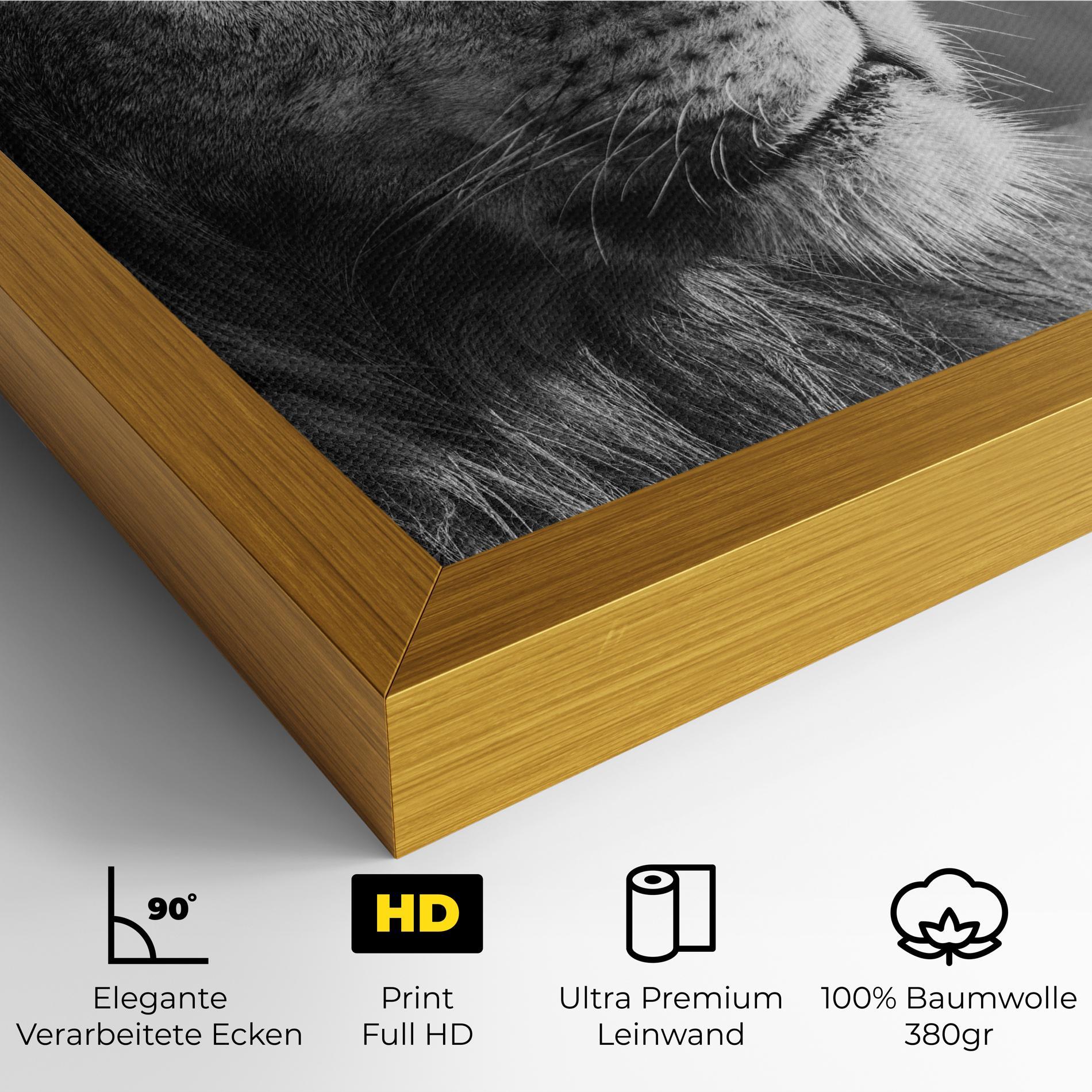 Leinwandbild Grey Lion Head mockup 4