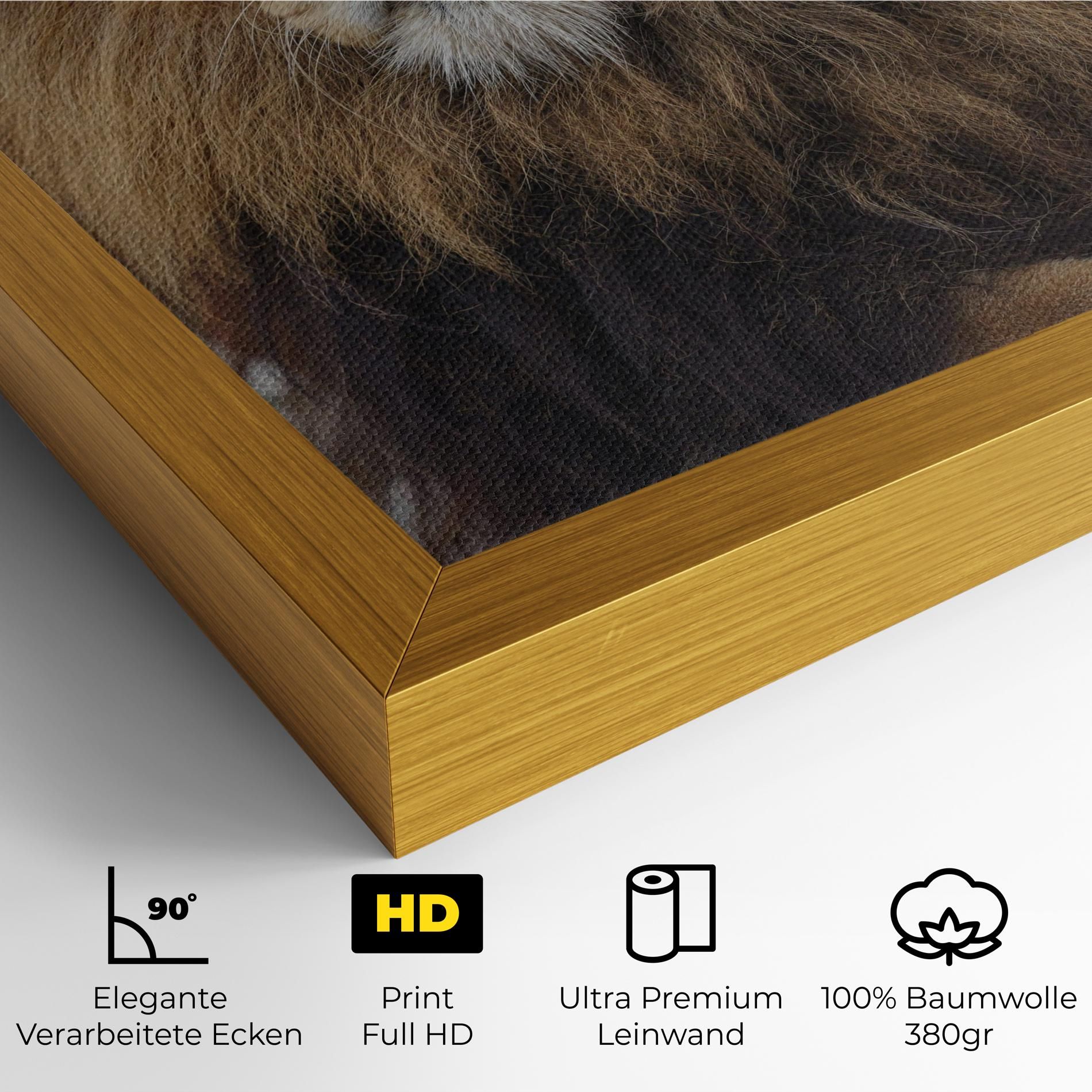 Lion Chilling mockup 4