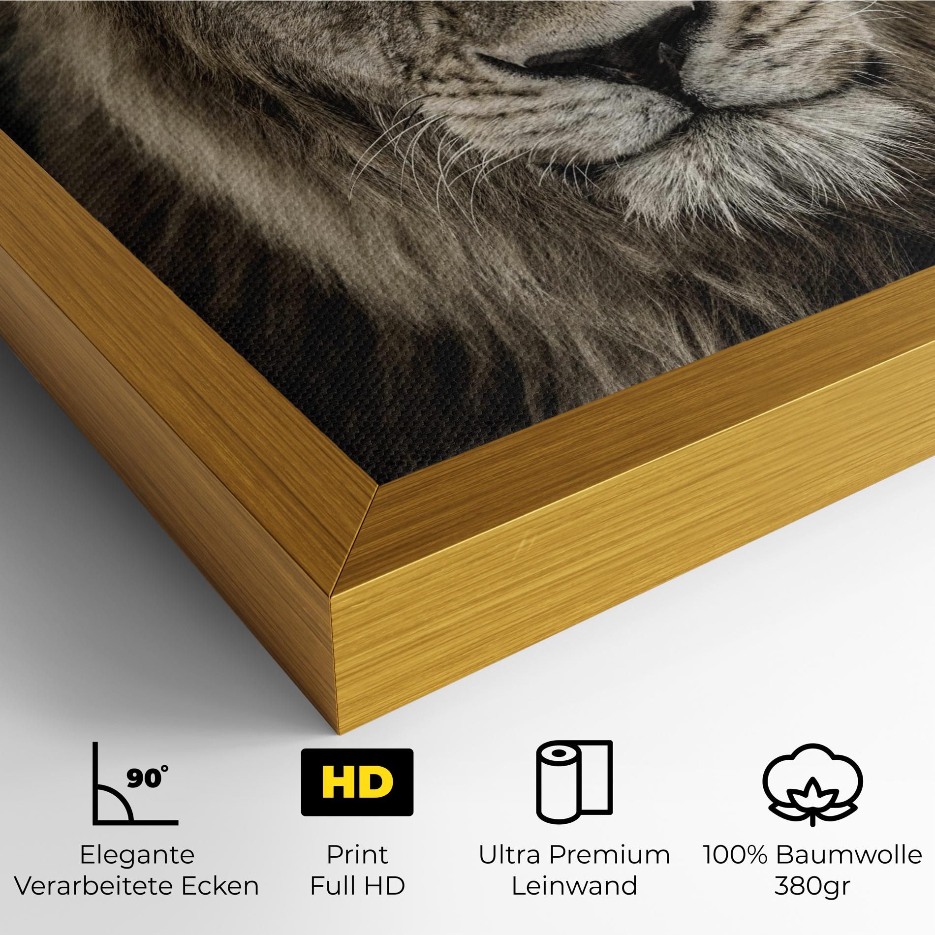 Lion Close Up mockup 4