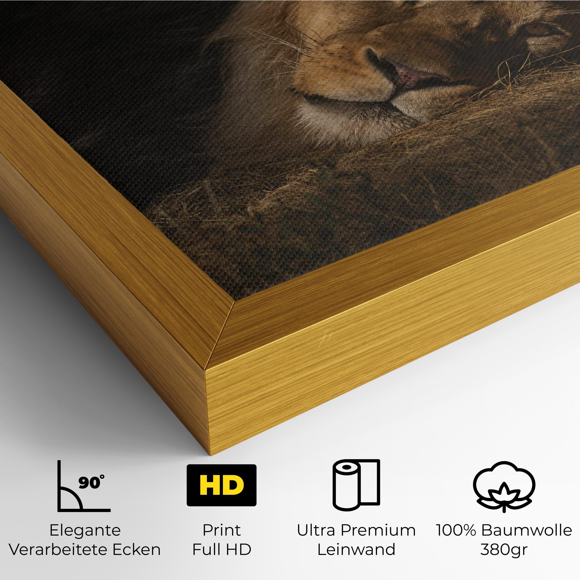 Leinwandbild Lion Laying Down mockup 4