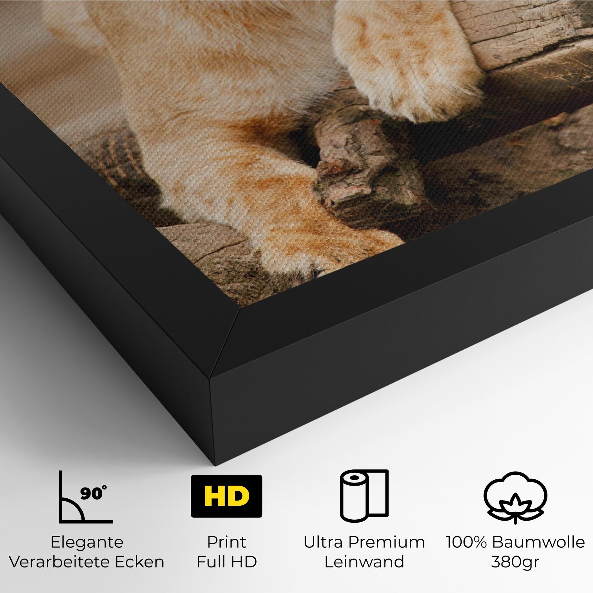 Female Lion Sitting mockup 4