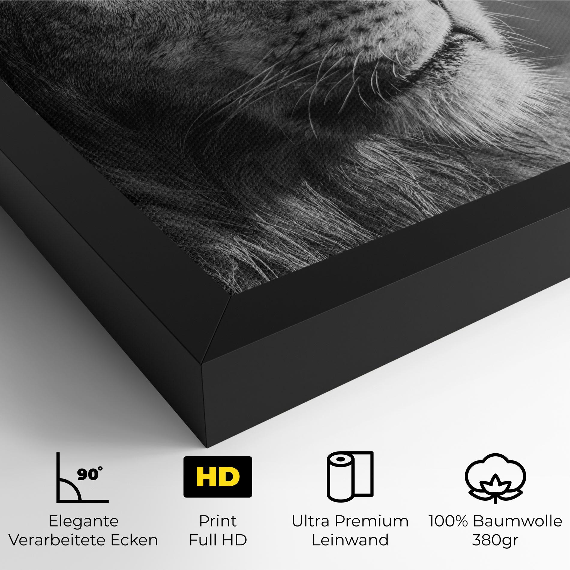 Leinwandbild Grey Lion Head mockup 4
