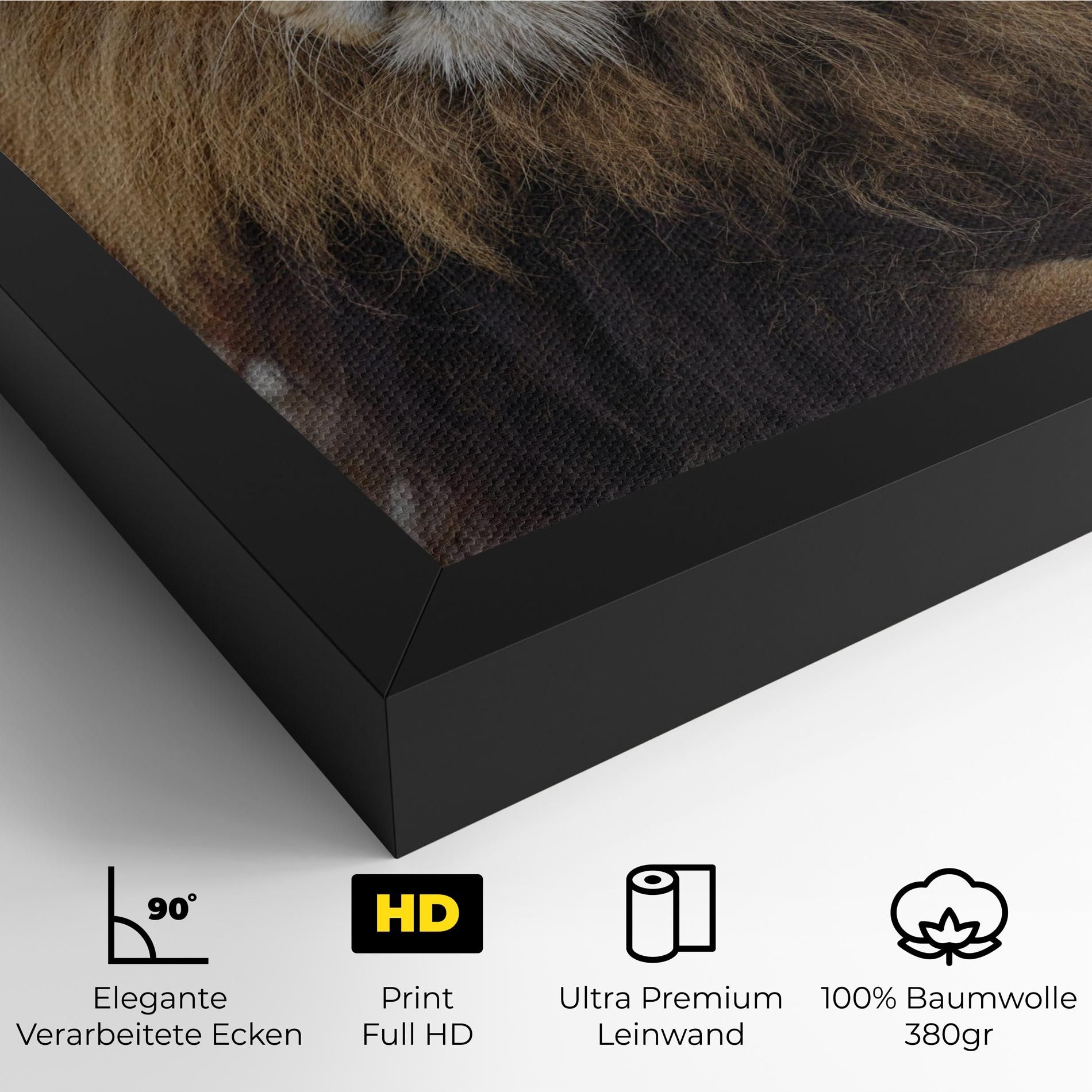 Lion Chilling mockup 4