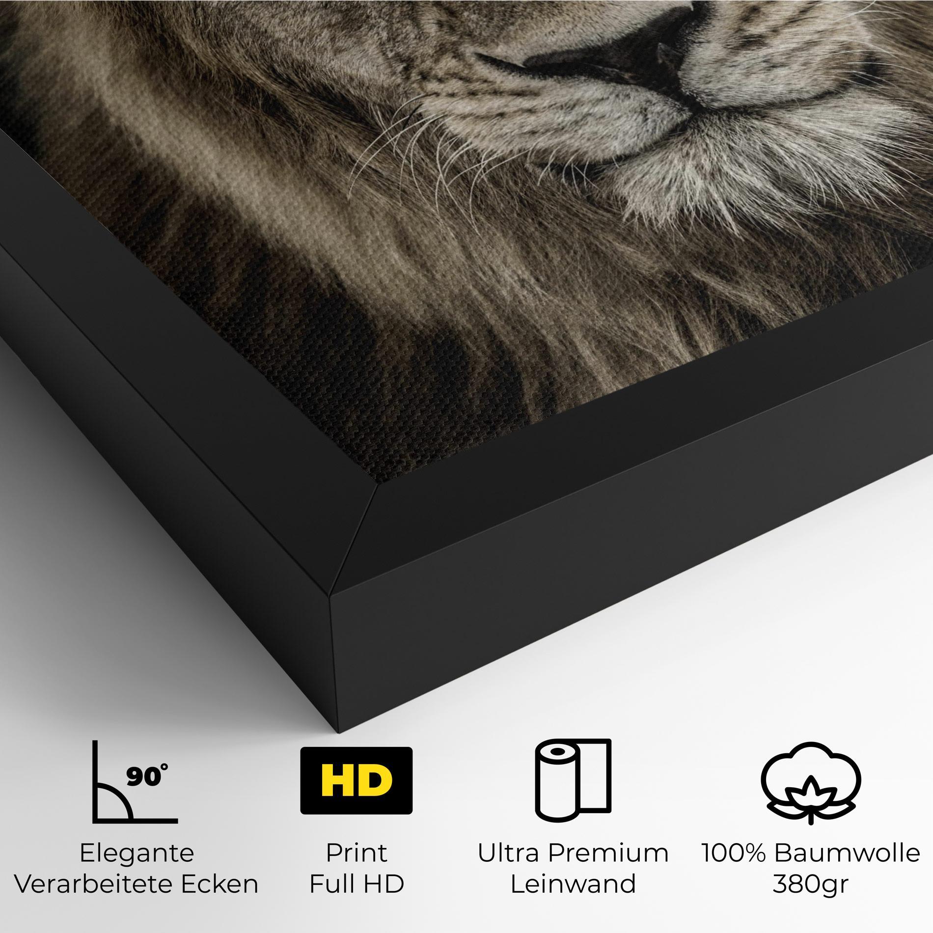 Leinwandbild Lion Close Up mockup 4