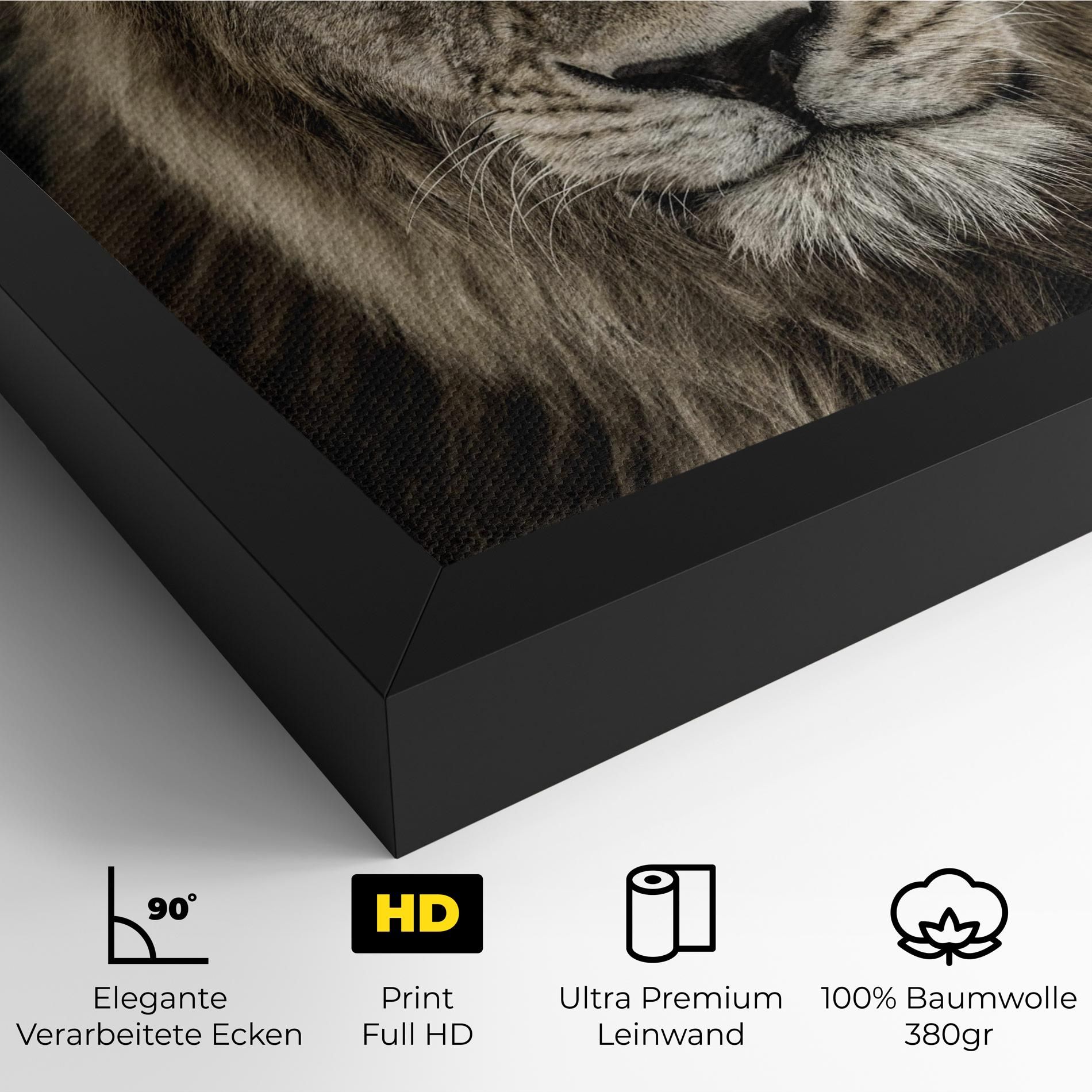 Lion Close Up mockup 4