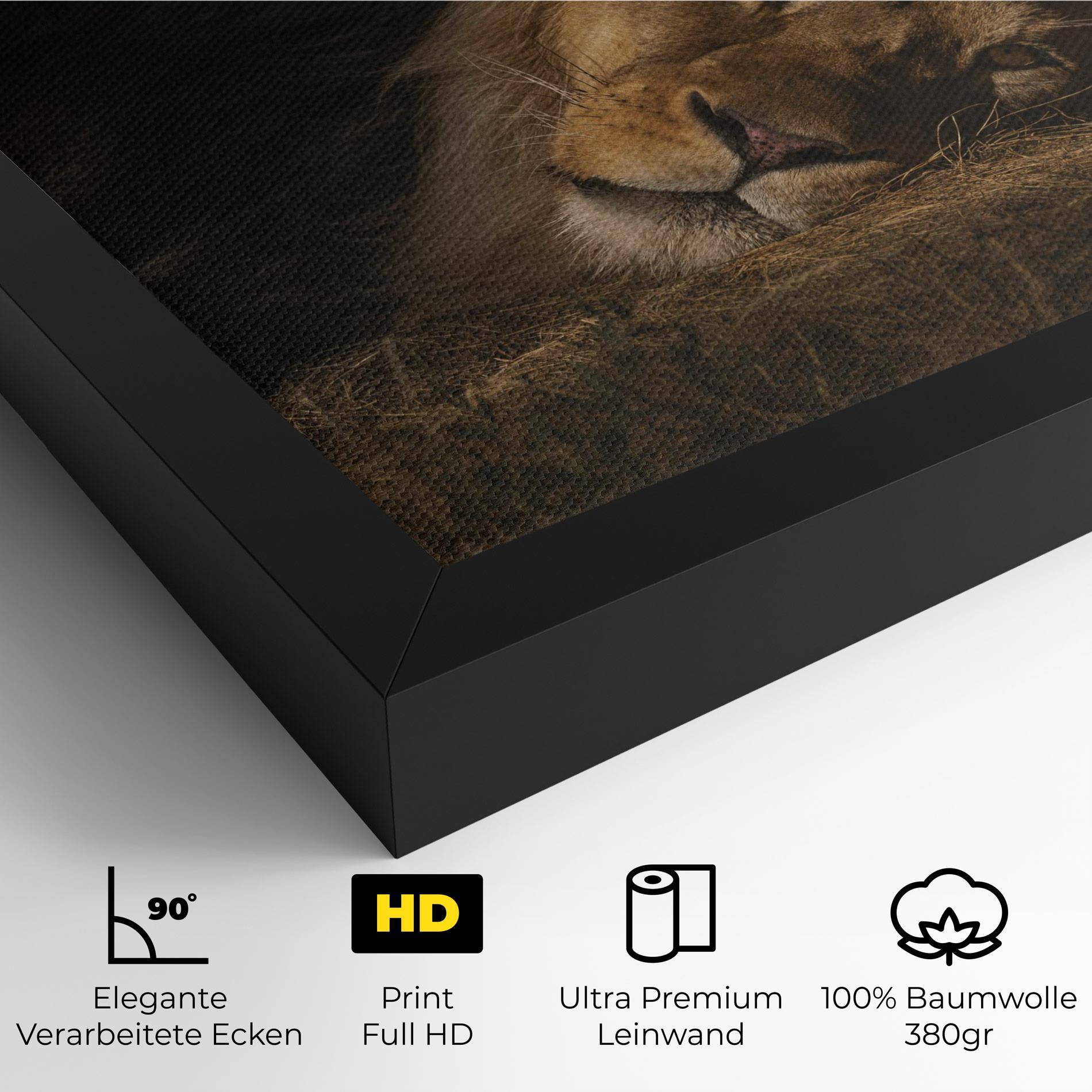 Leinwandbild Lion Laying Down mockup 4