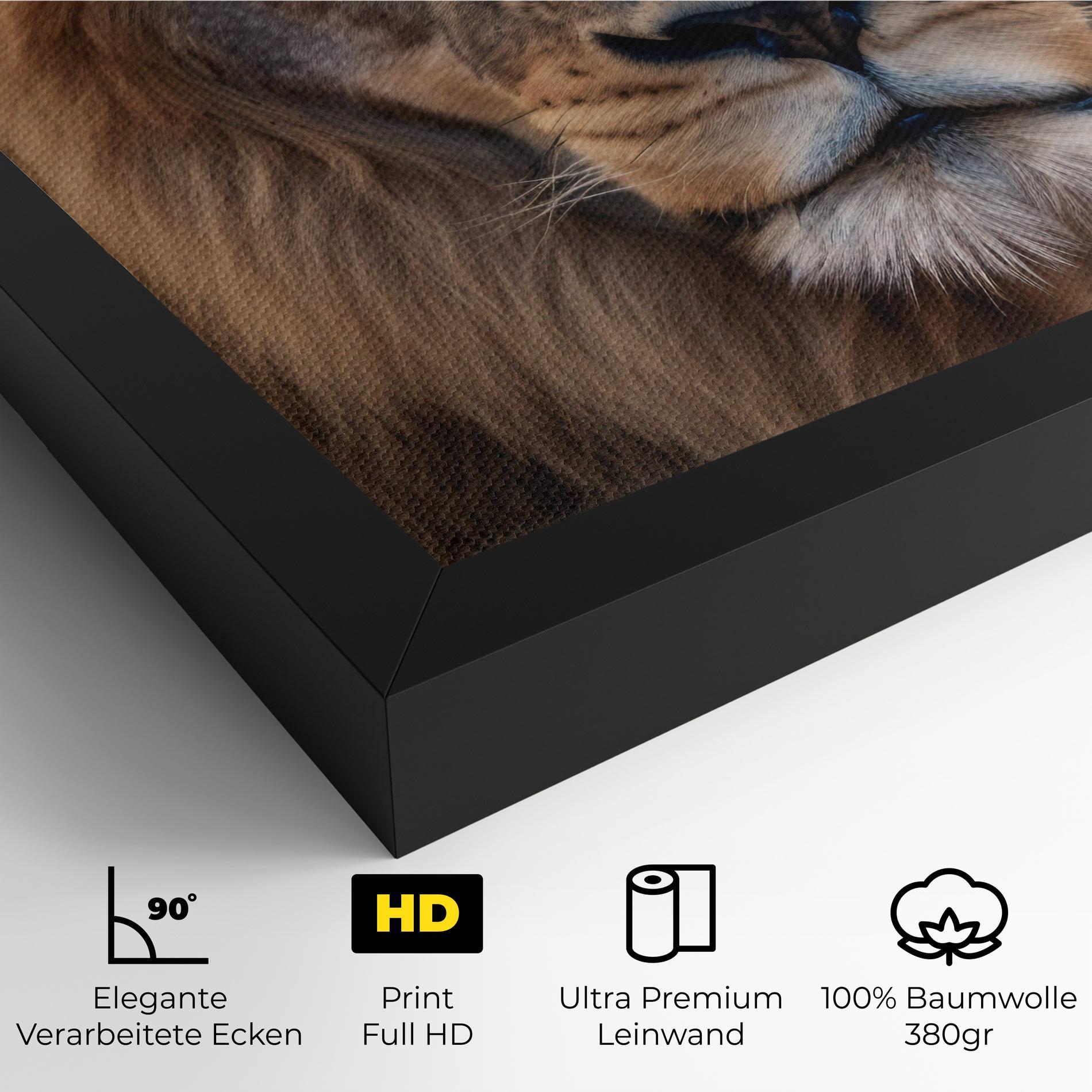 Leinwandbild Wild Lion View mockup 4