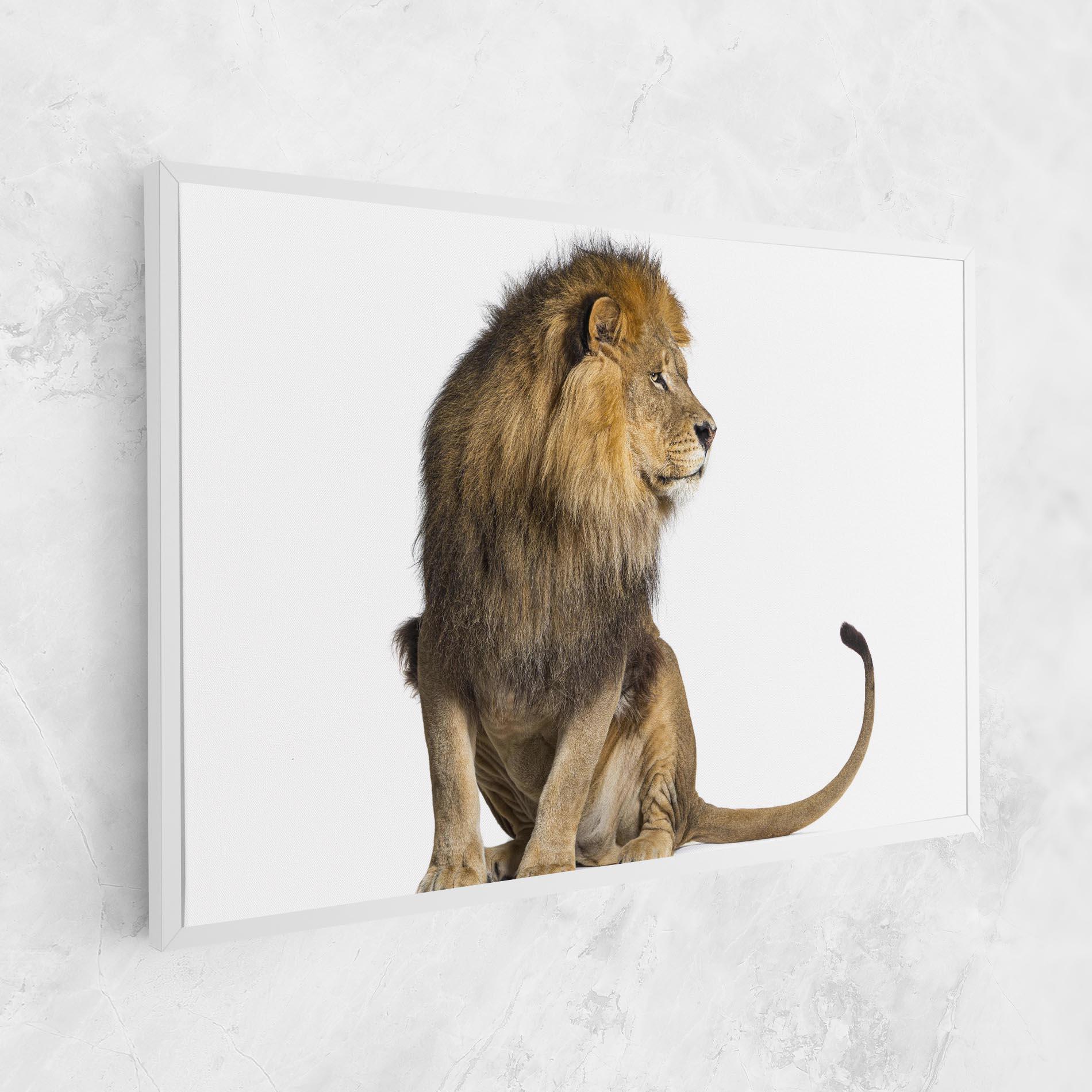 Leinwandbild Big Lion mockup 1