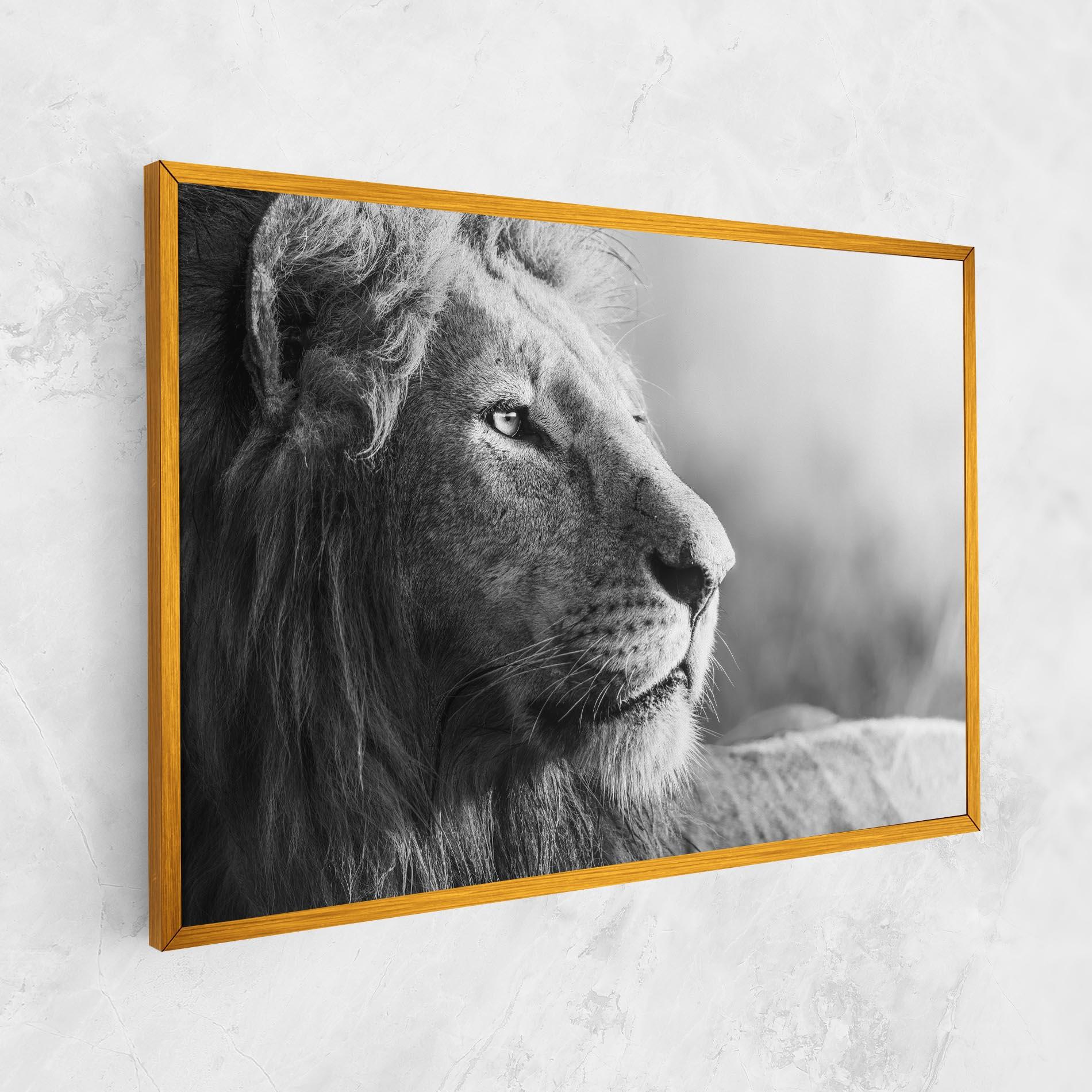 Leinwandbild Grey Lion Head mockup 1