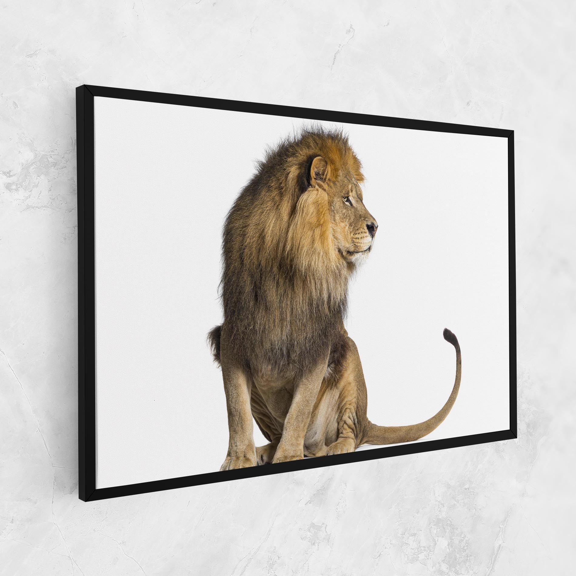 Big Lion mockup 1