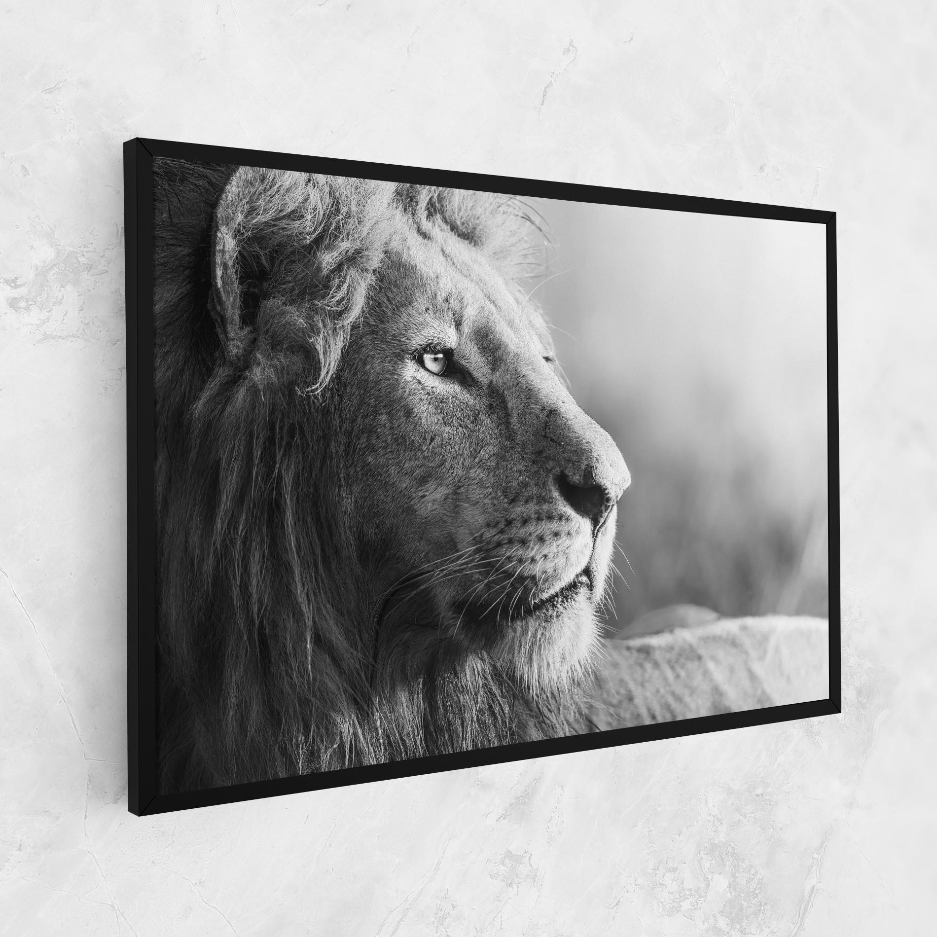 Leinwandbild Grey Lion Head mockup 1