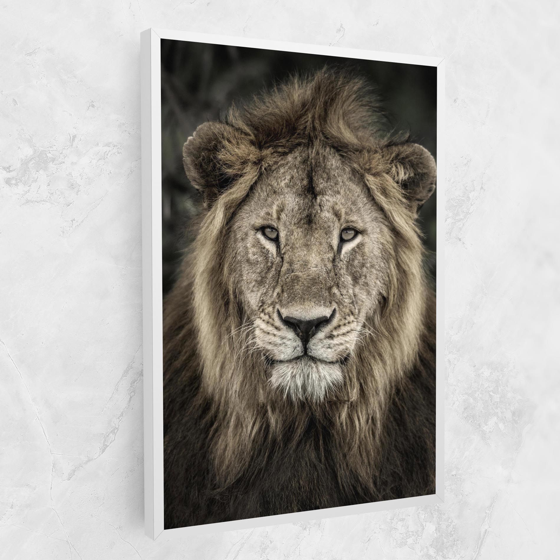 Lion Close Up mockup 1