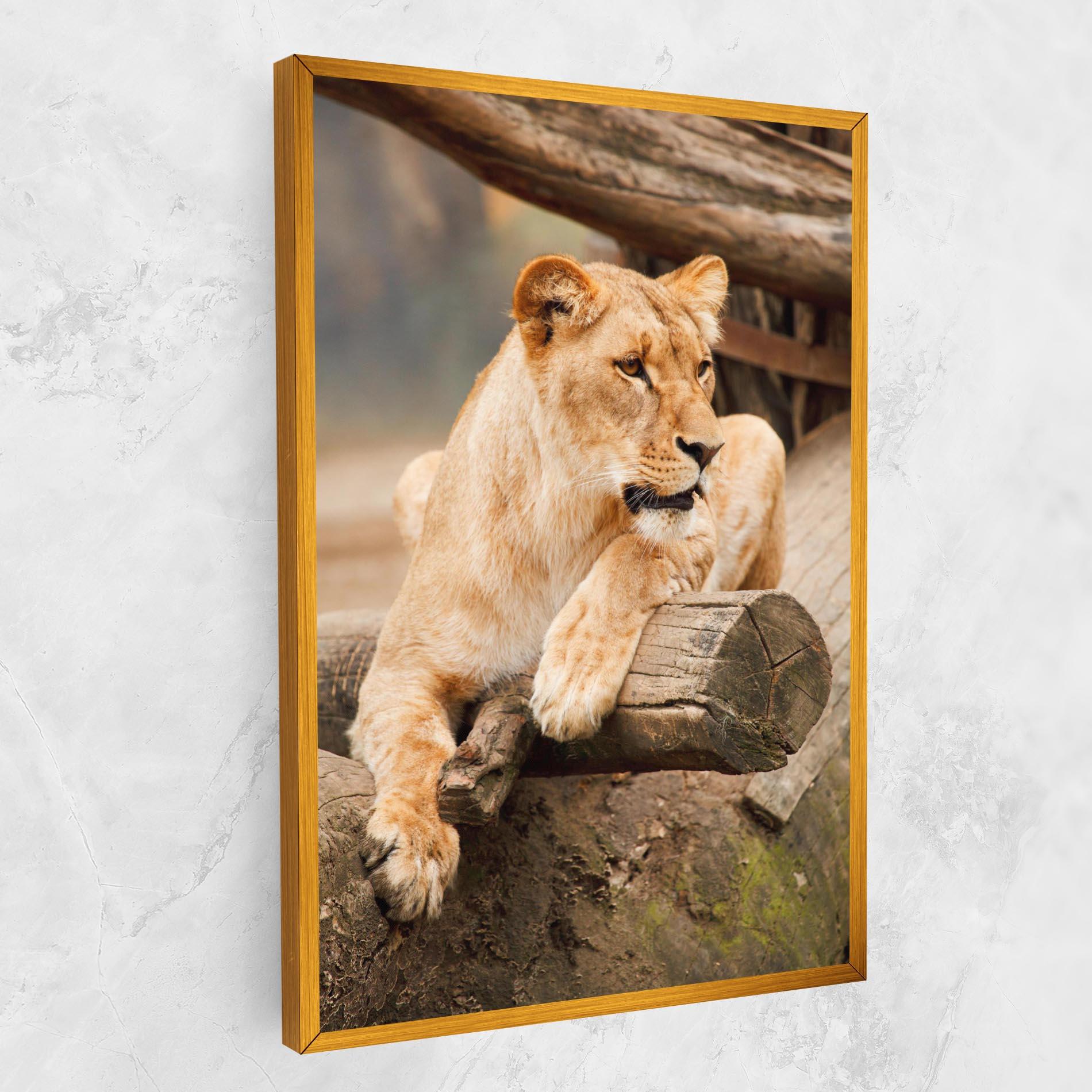 Leinwandbild Female Lion Sitting mockup 1