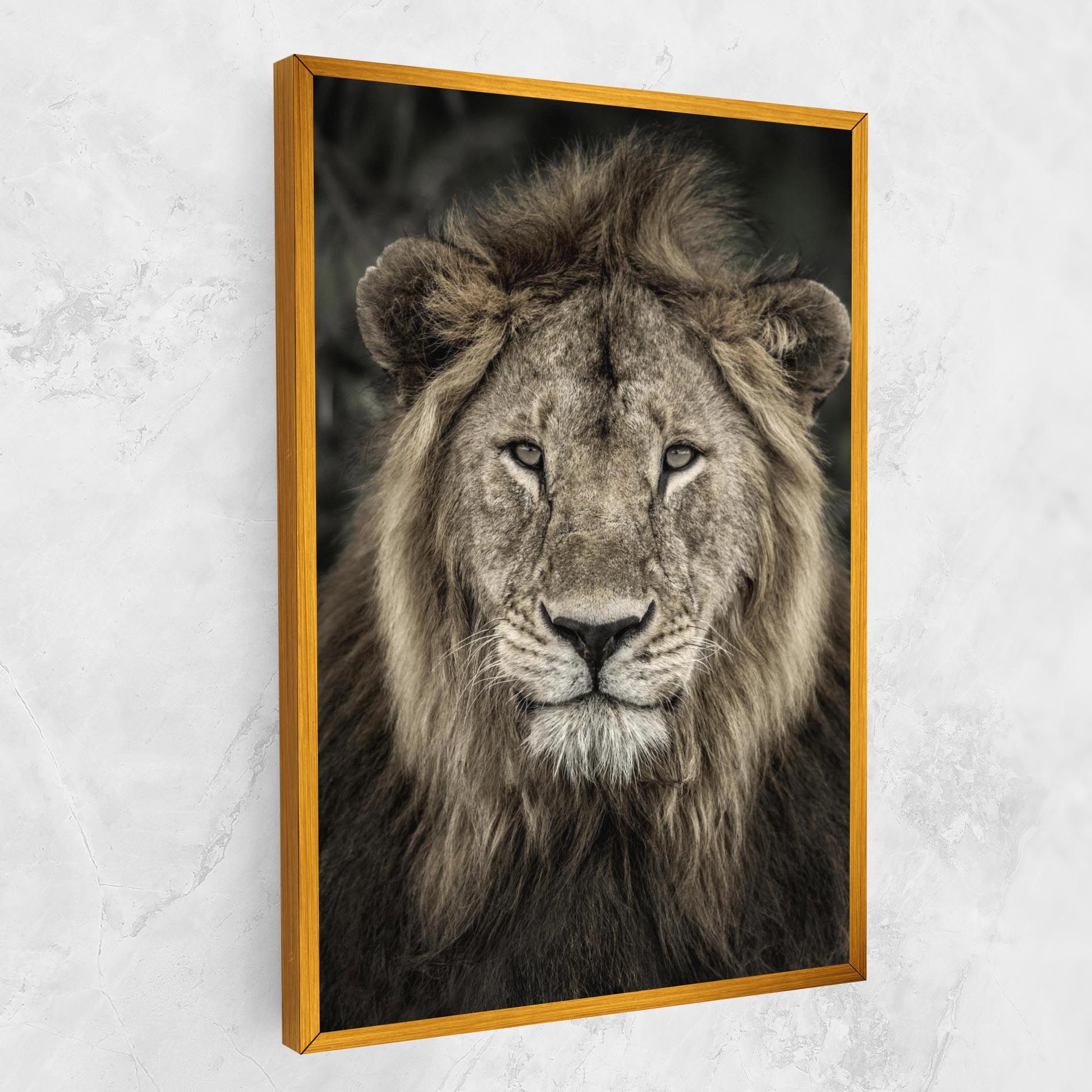 Lion Close Up mockup 1