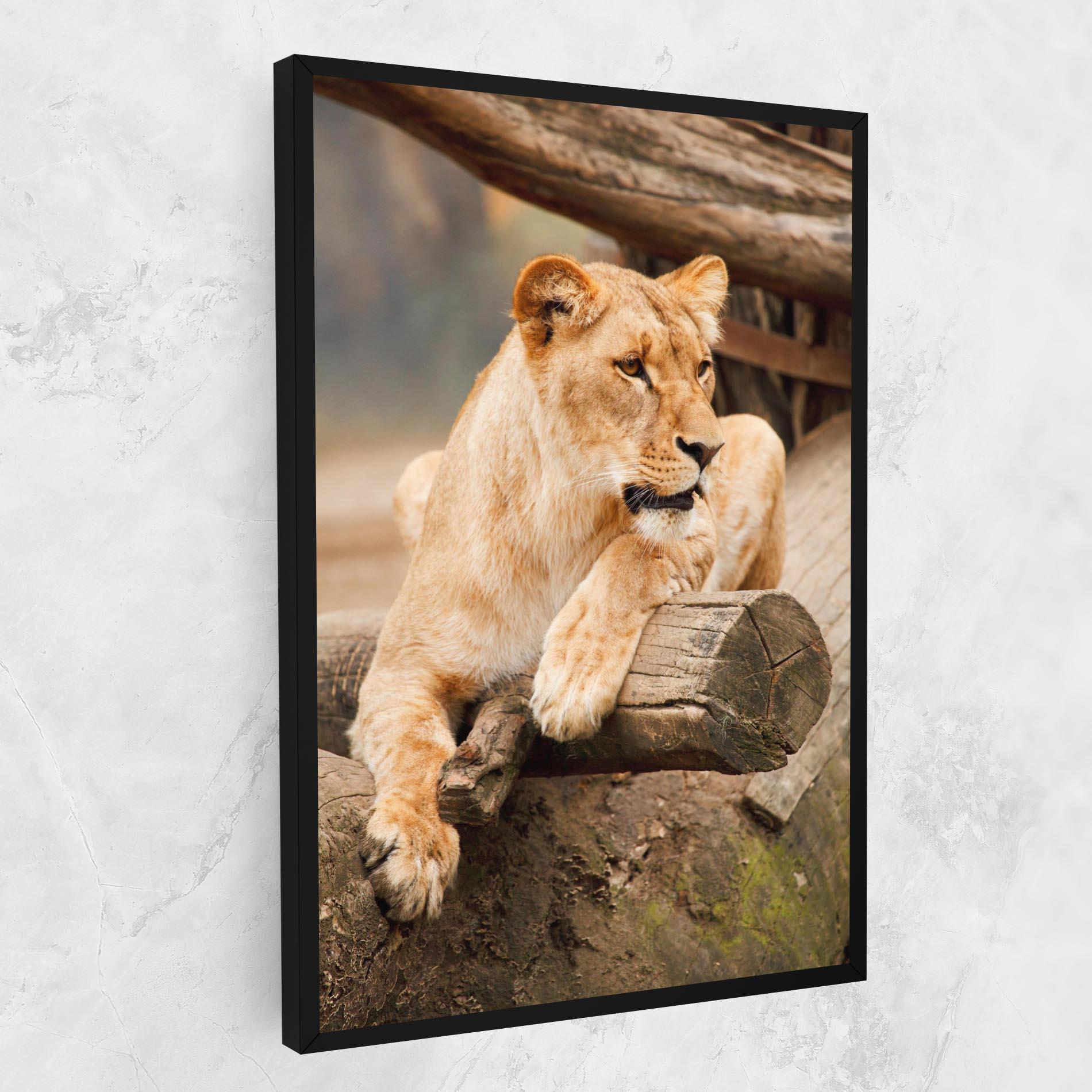 Leinwandbild Female Lion Sitting mockup 1