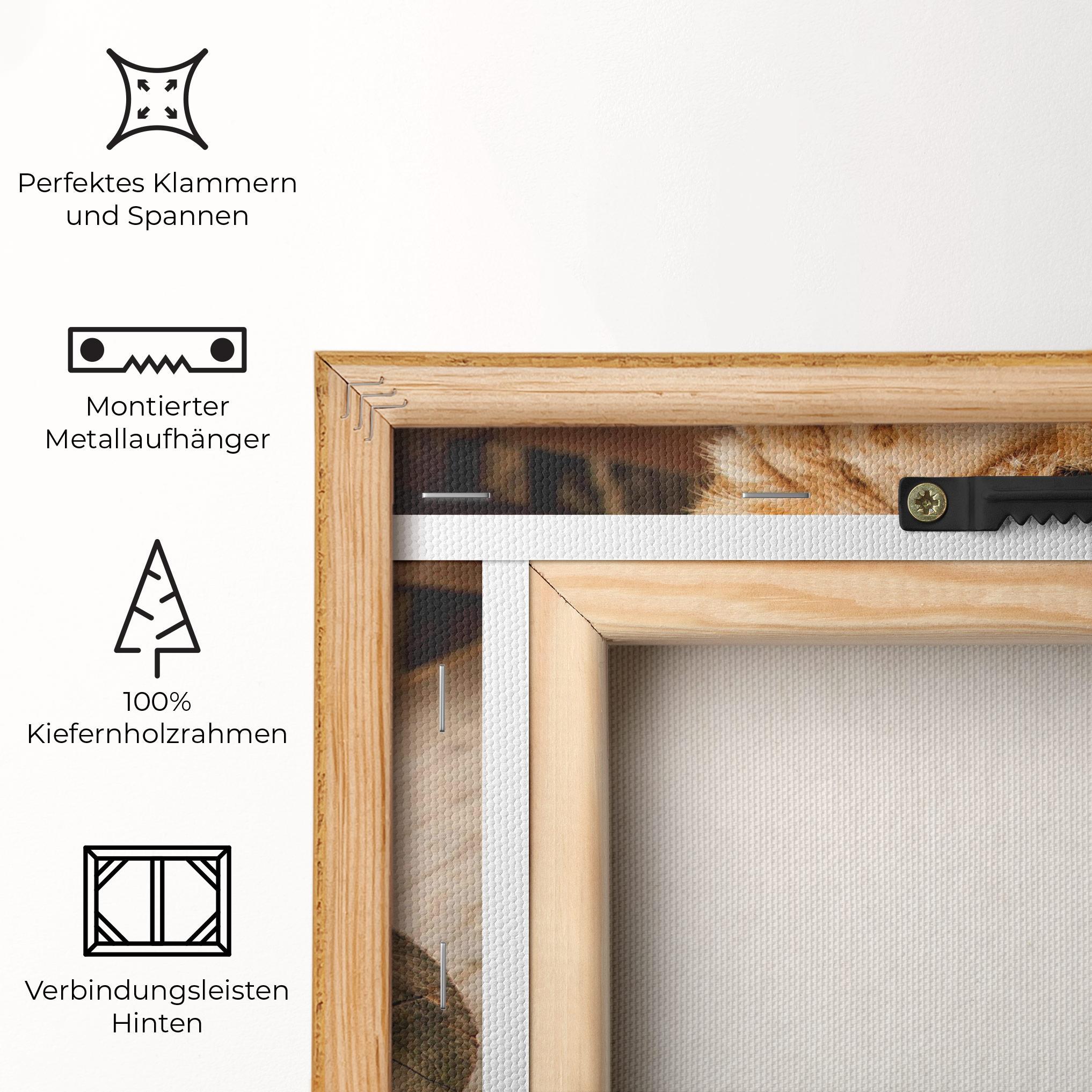 Leinwandbild Female Lion Sitting mockup 5