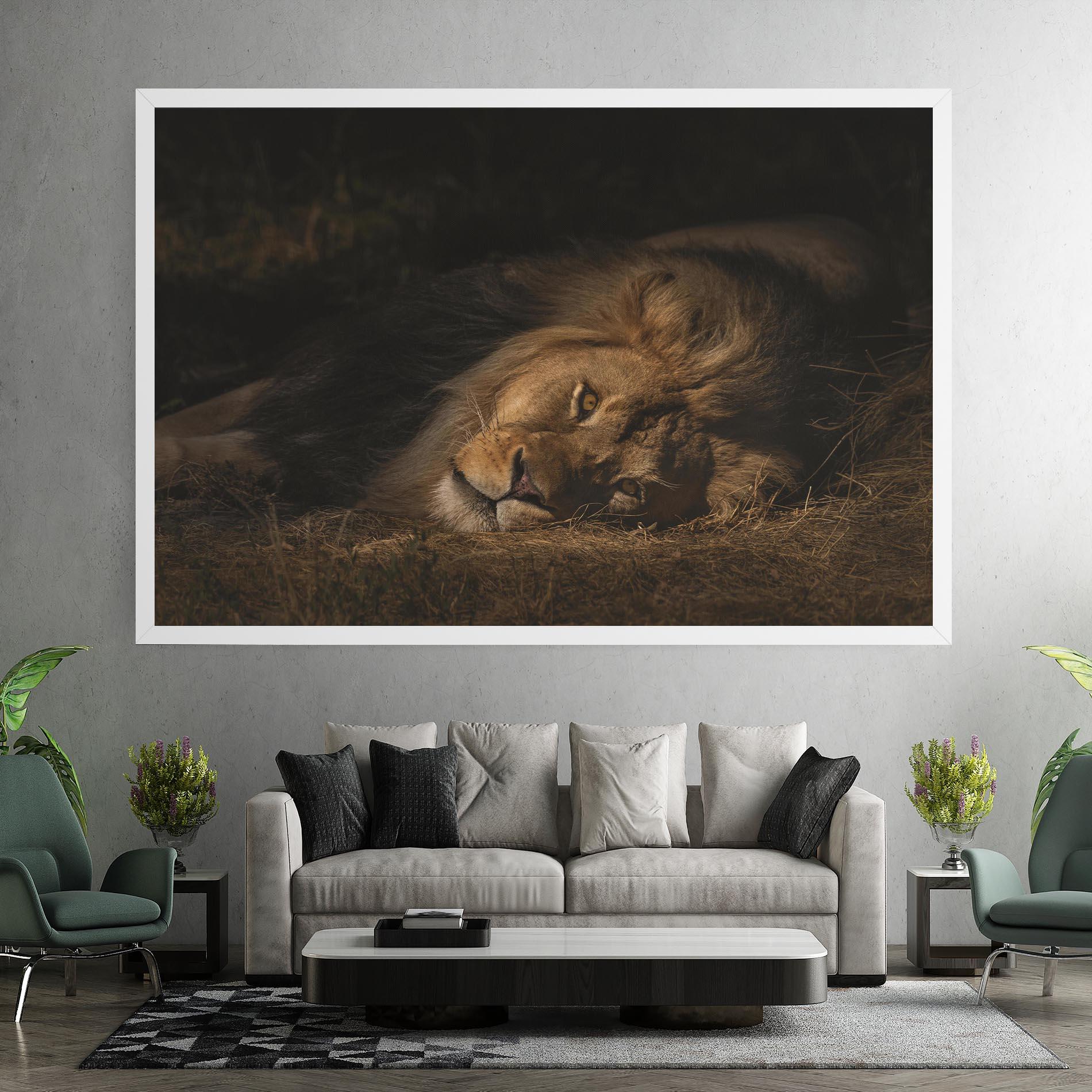 Leinwandbild Lion Laying Down mockup 7
