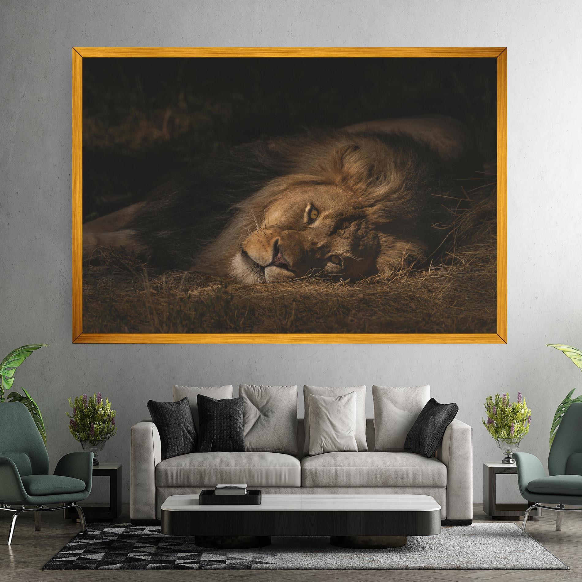 Leinwandbild Lion Laying Down mockup 7