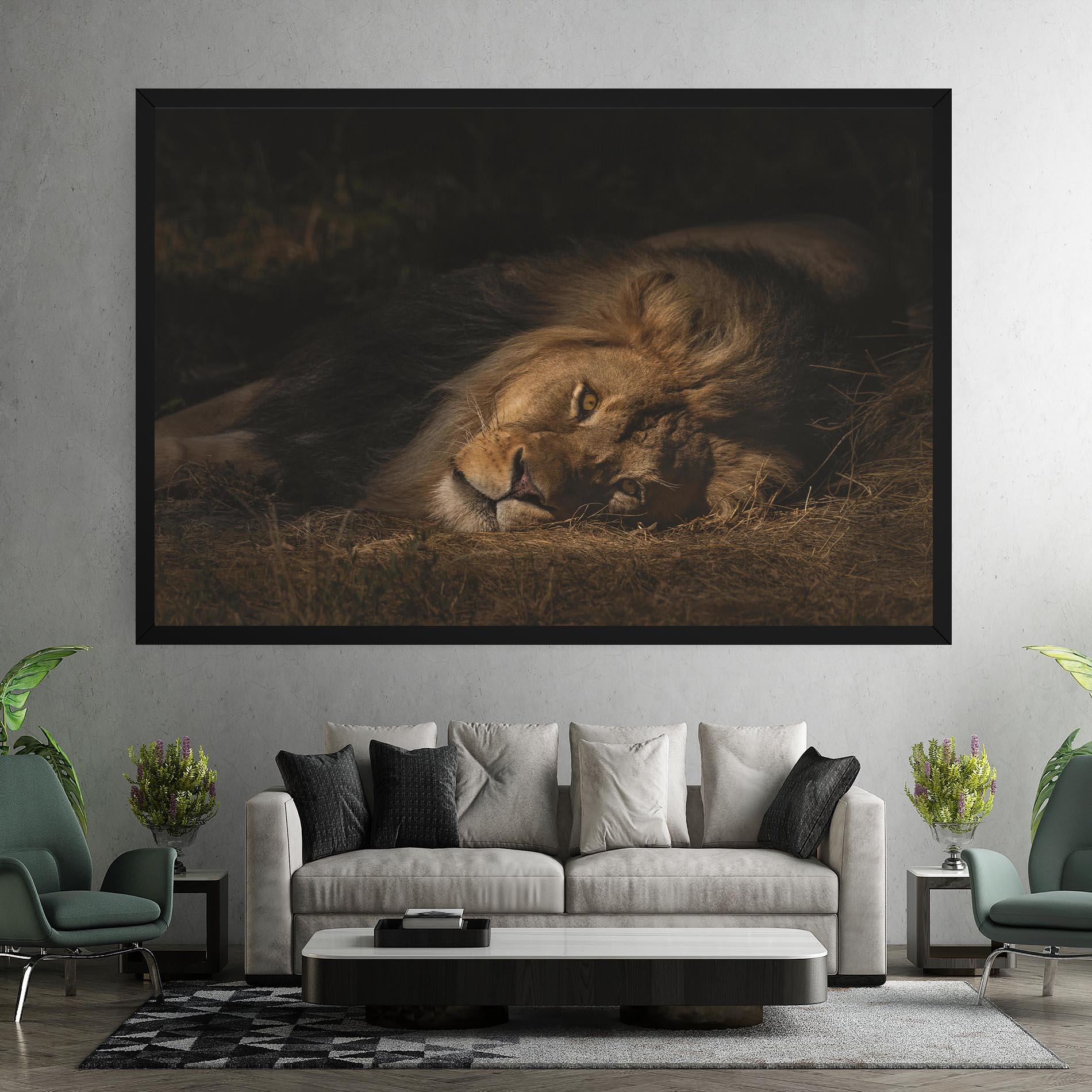 Leinwandbild Lion Laying Down mockup 7