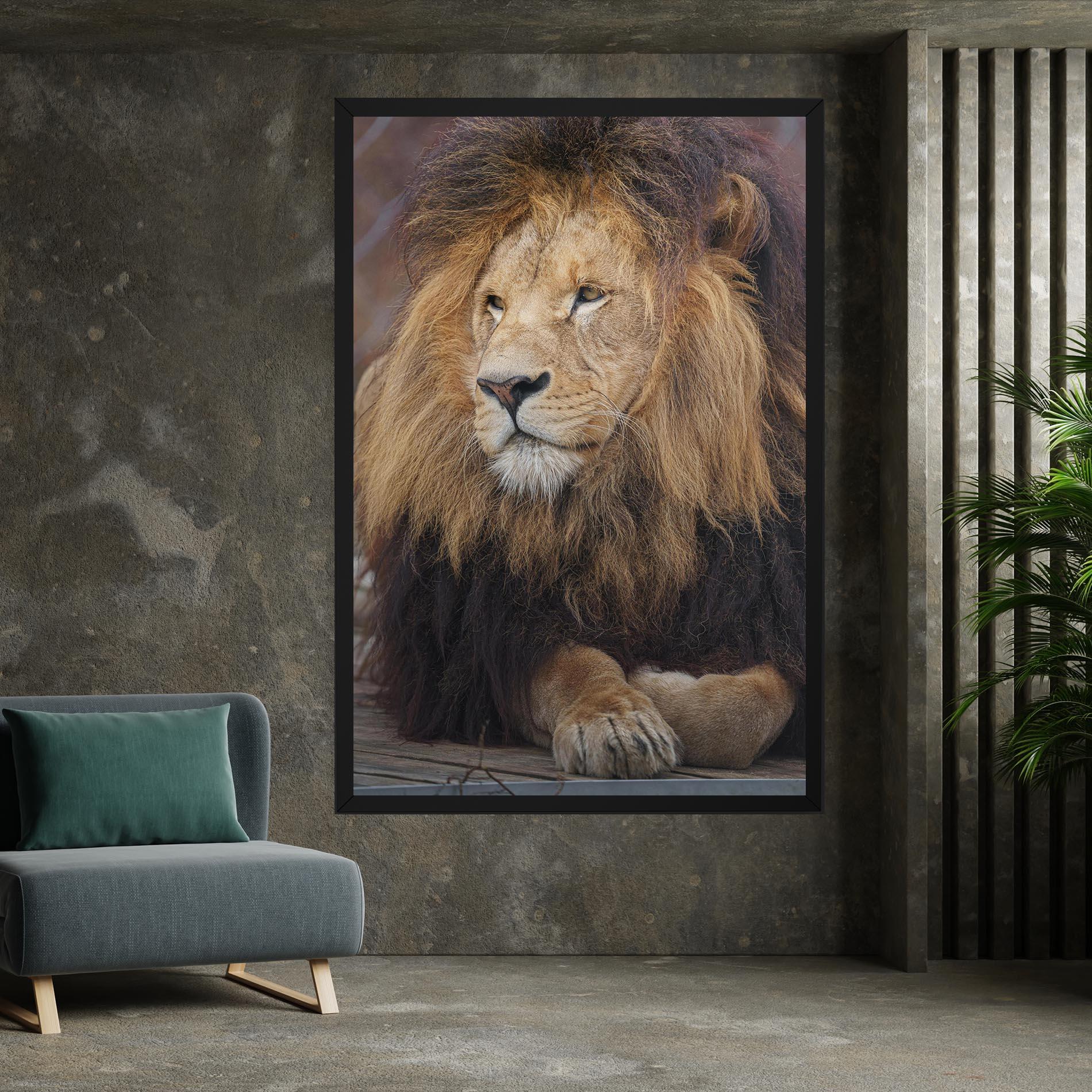 Leinwandbild Lion Chilling mockup 7