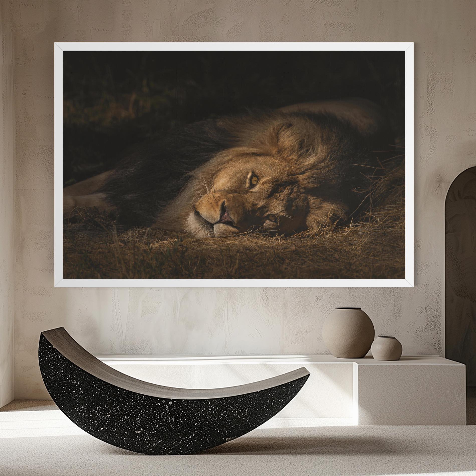 Leinwandbild Lion Laying Down mockup 8
