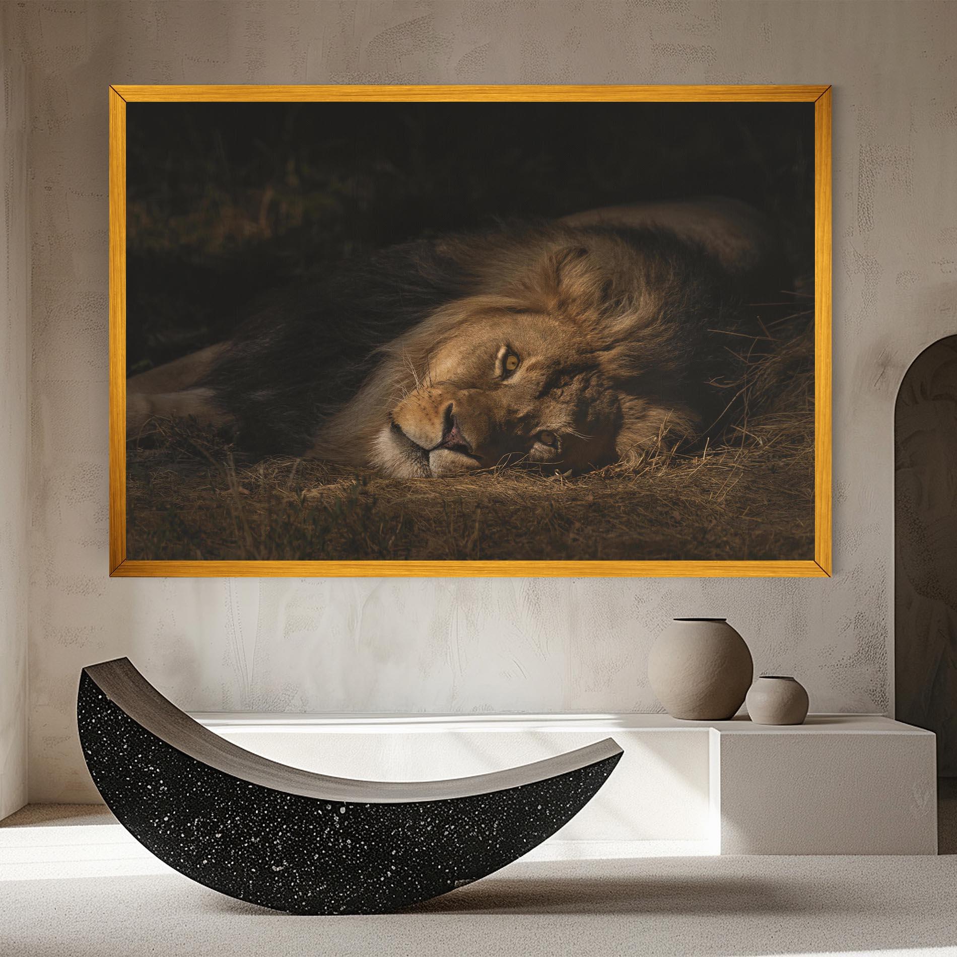 Leinwandbild Lion Laying Down mockup 8