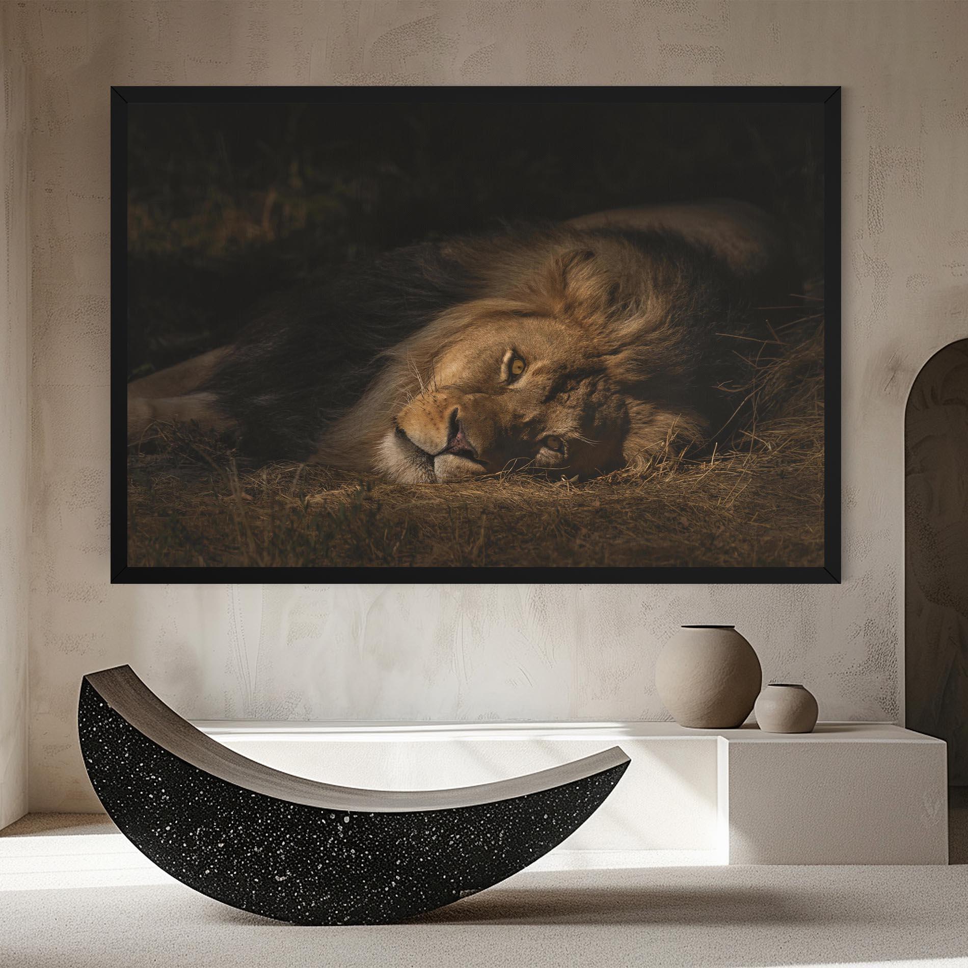 Leinwandbild Lion Laying Down mockup 8