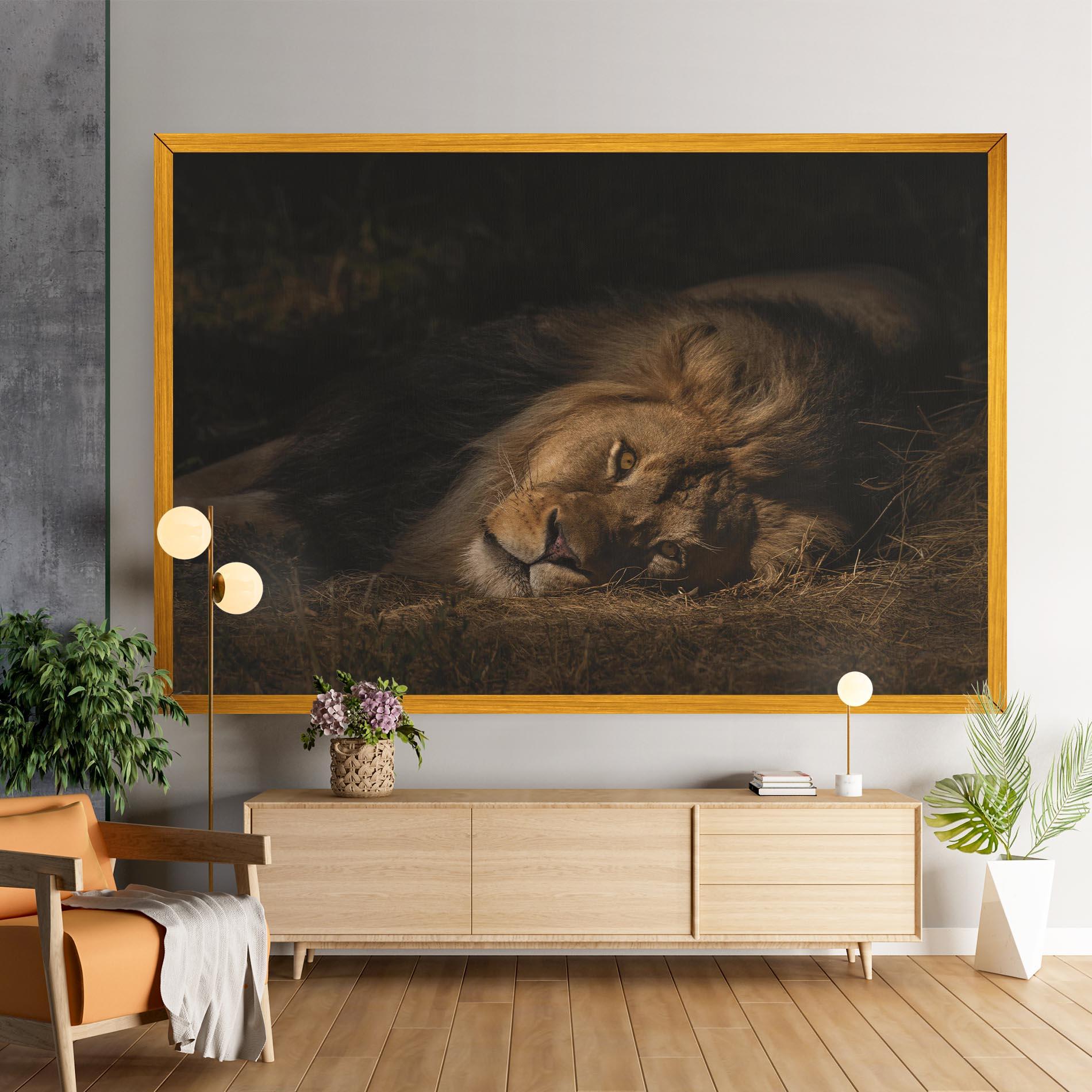 Leinwandbild Lion Laying Down mockup 9