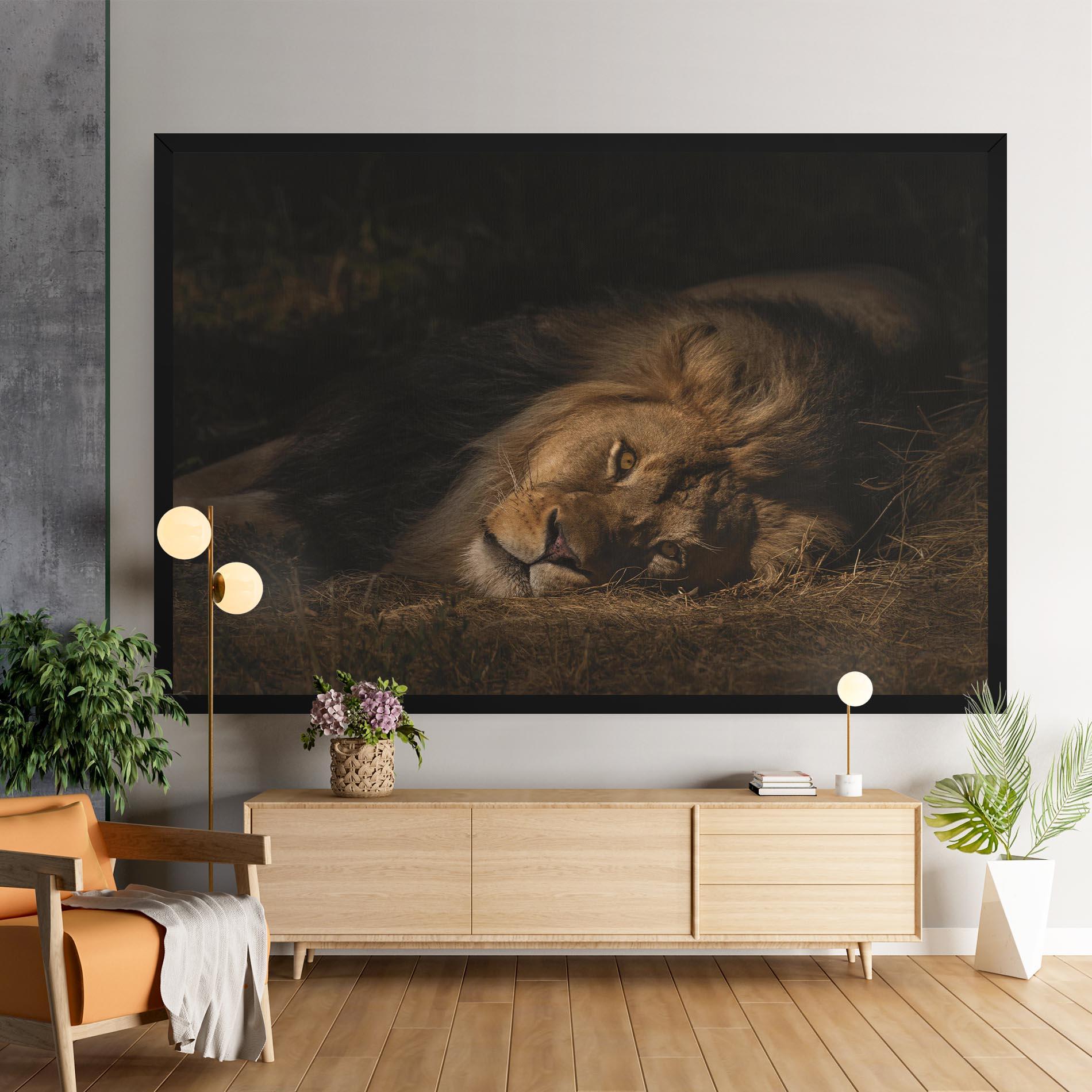 Leinwandbild Lion Laying Down mockup 9