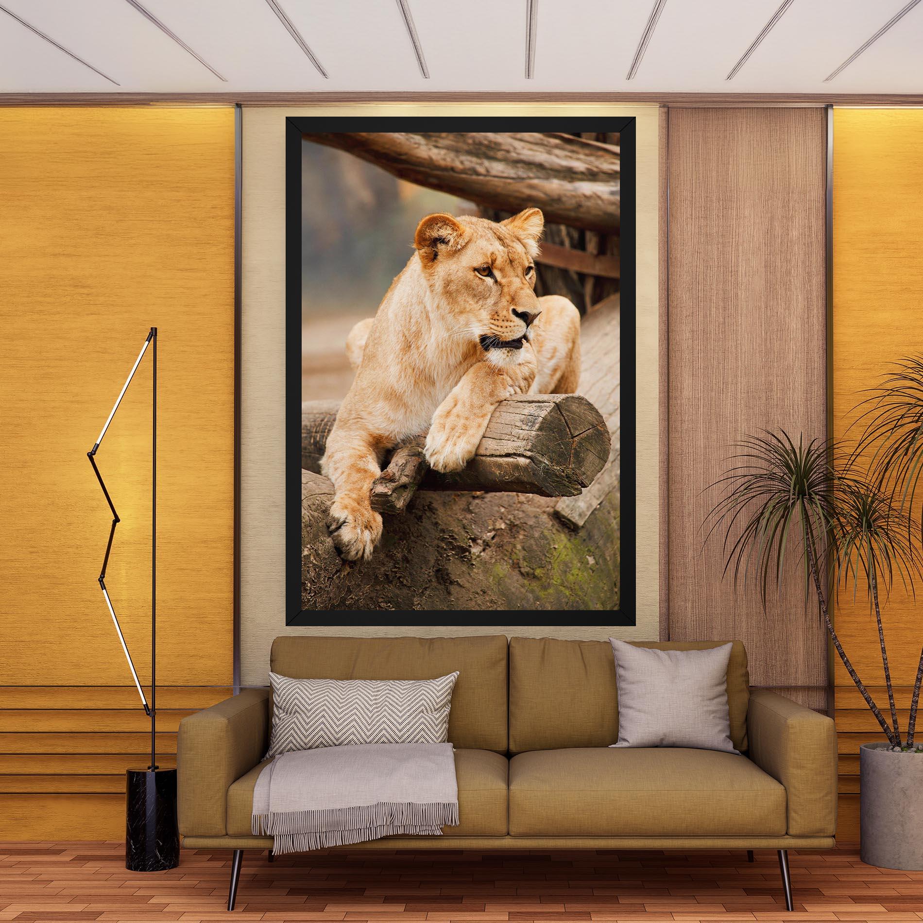 Leinwandbild Female Lion Sitting mockup 9