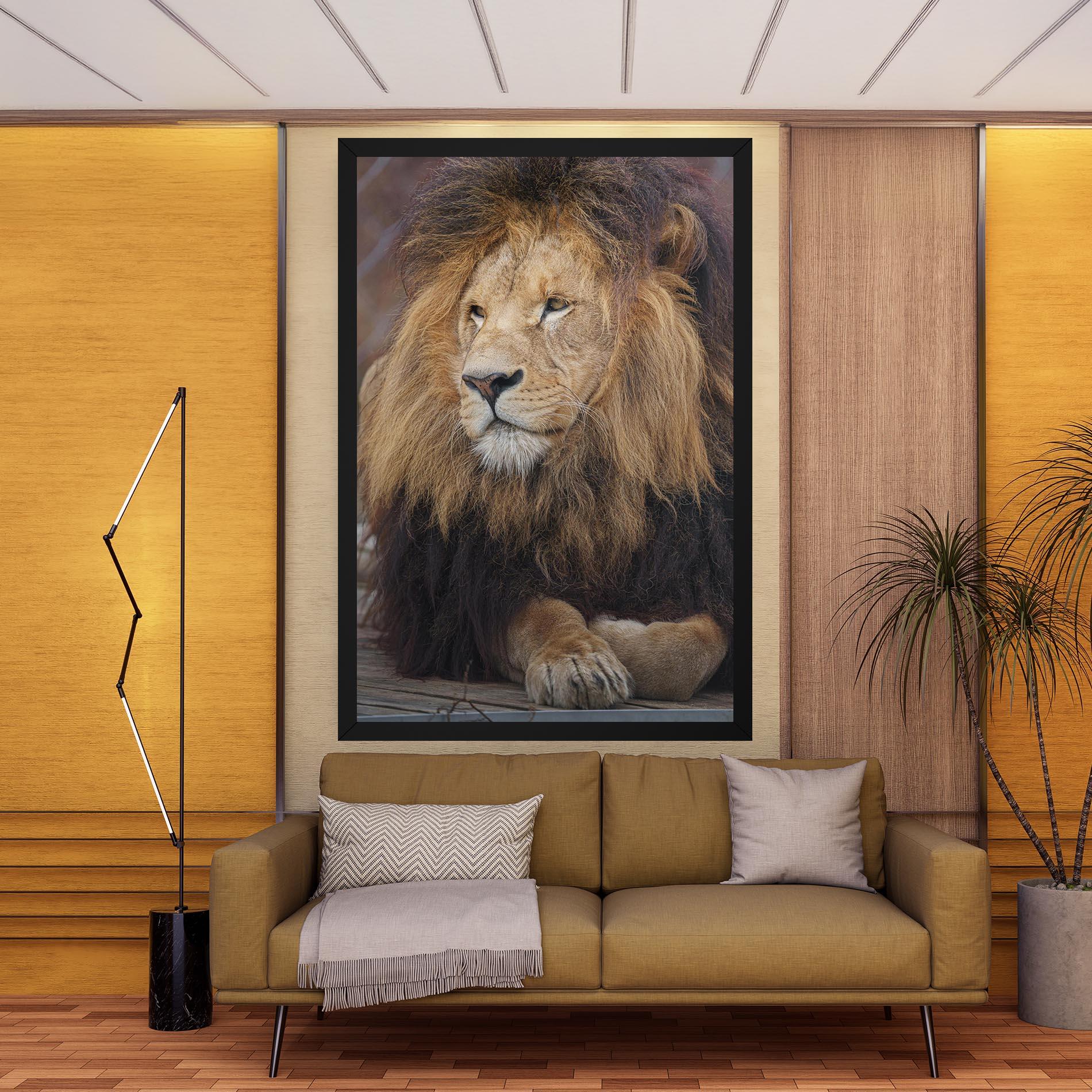 Leinwandbild Lion Chilling mockup 9