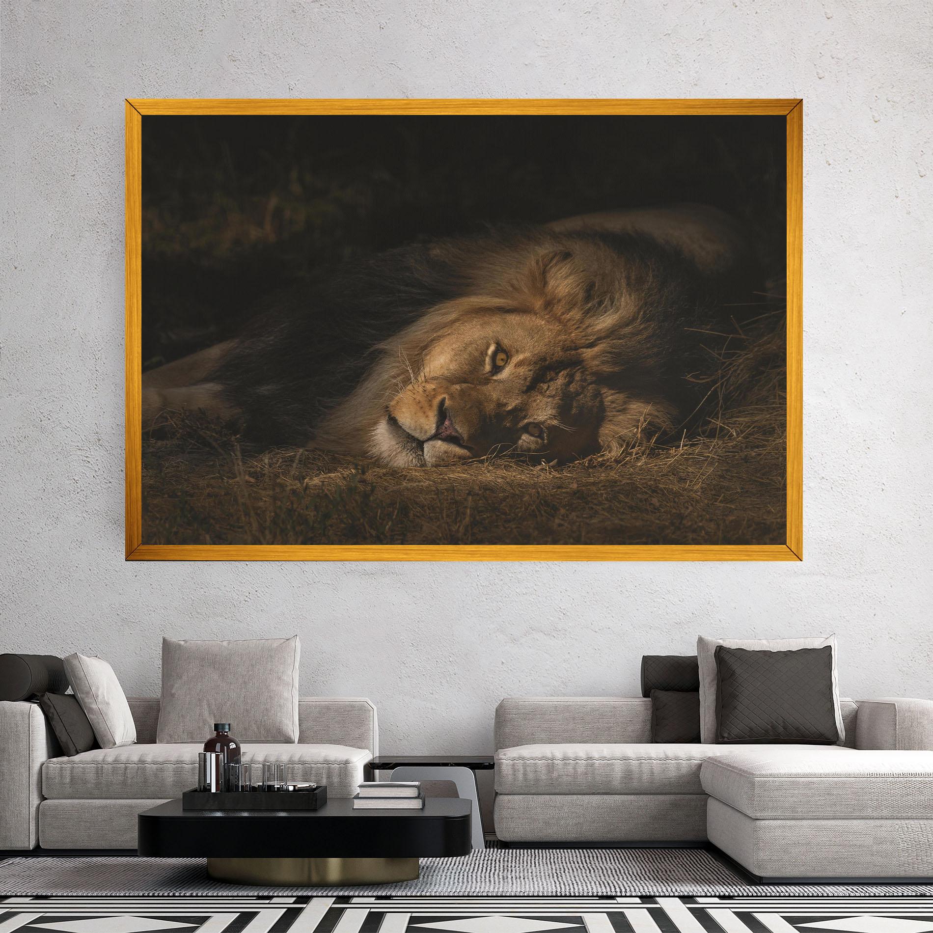 Leinwandbild Lion Laying Down mockup 2