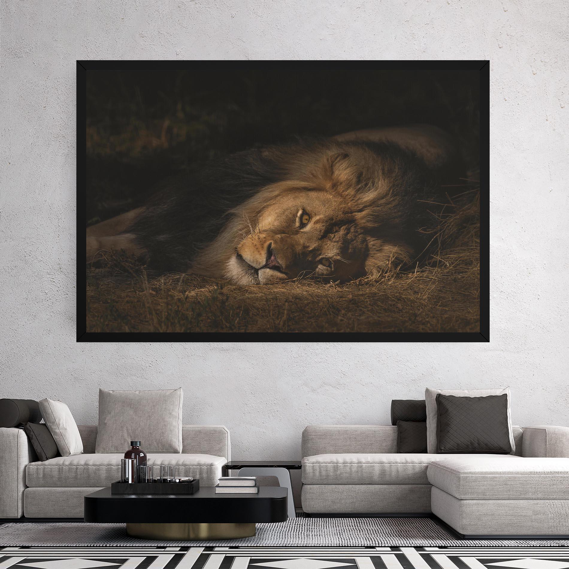 Leinwandbild Lion Laying Down mockup 2