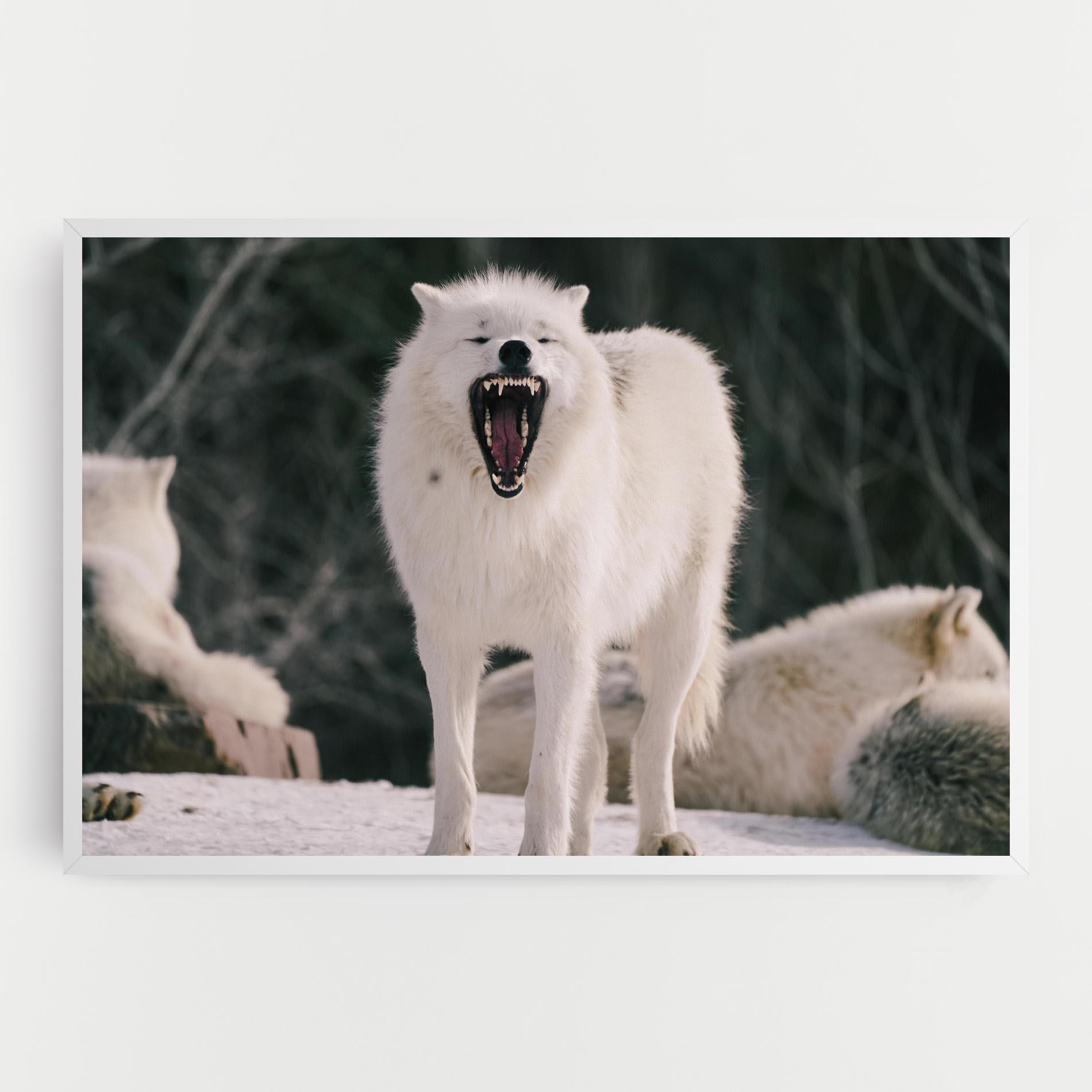 Leinwandbild Laughing White Wolf mockup 0
