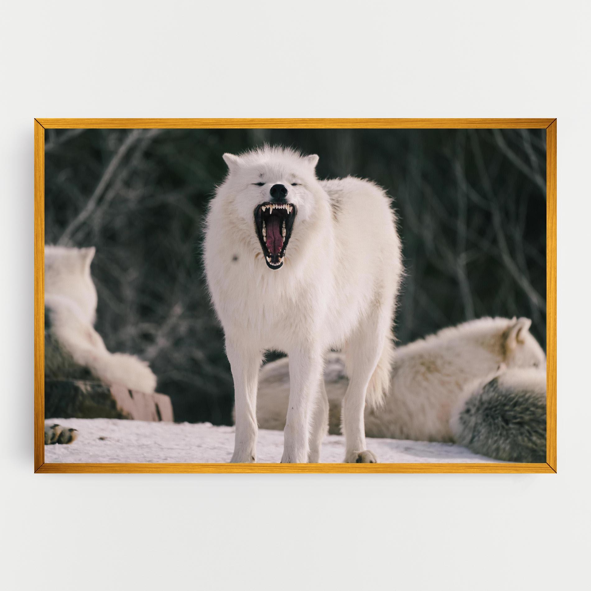 Leinwandbild Laughing White Wolf mockup 0
