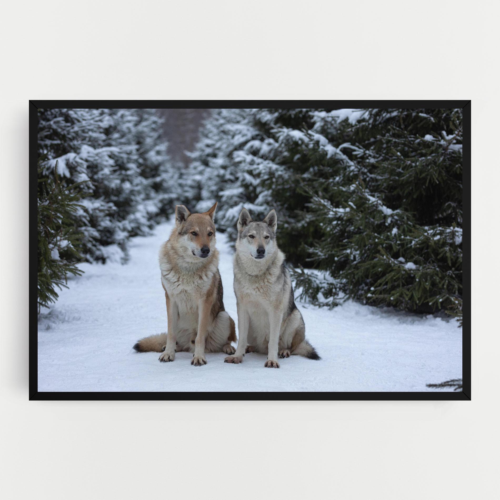 Leinwandbild 2 Wolfs Sitting mockup 0