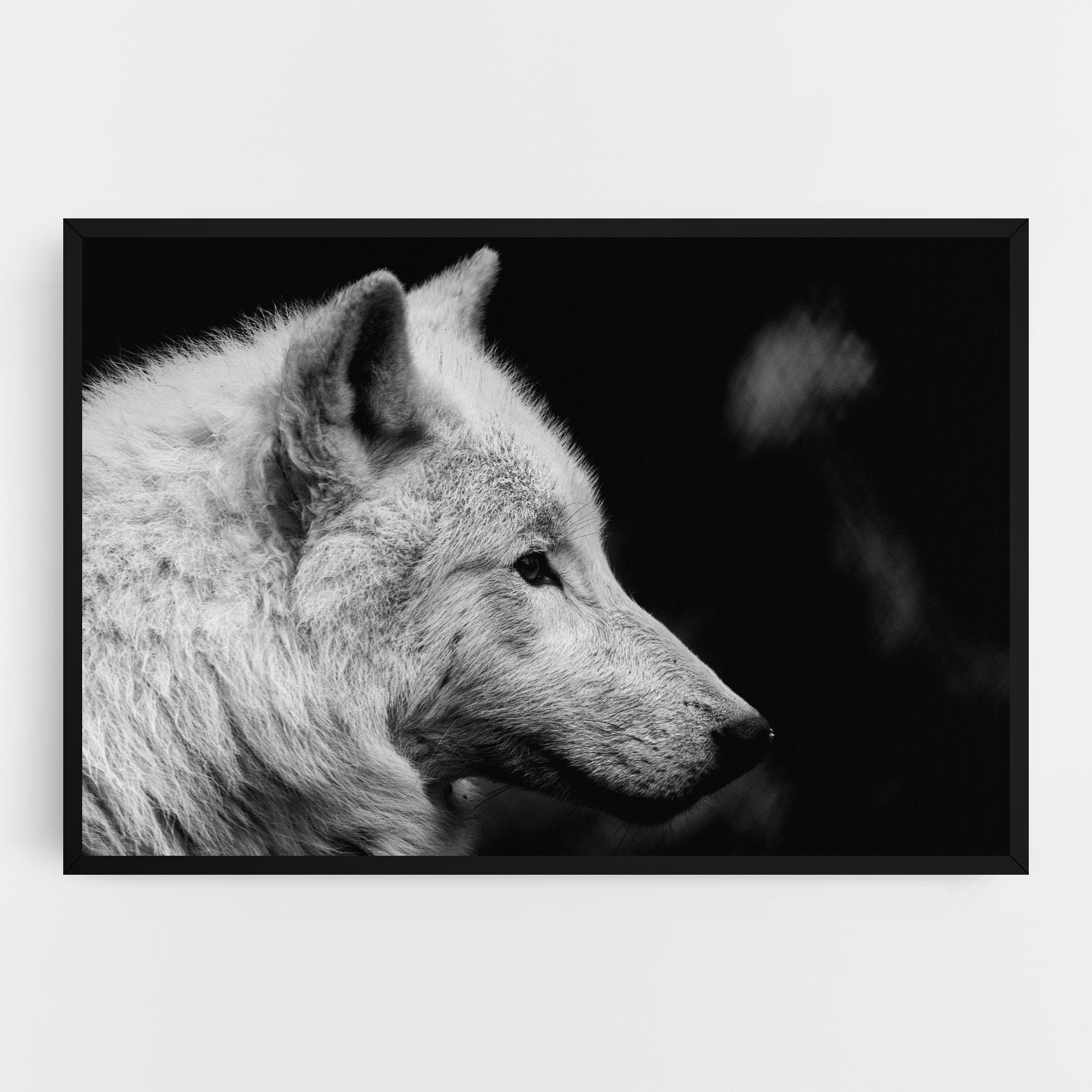 Leinwandbild Grey Wolf mockup 0